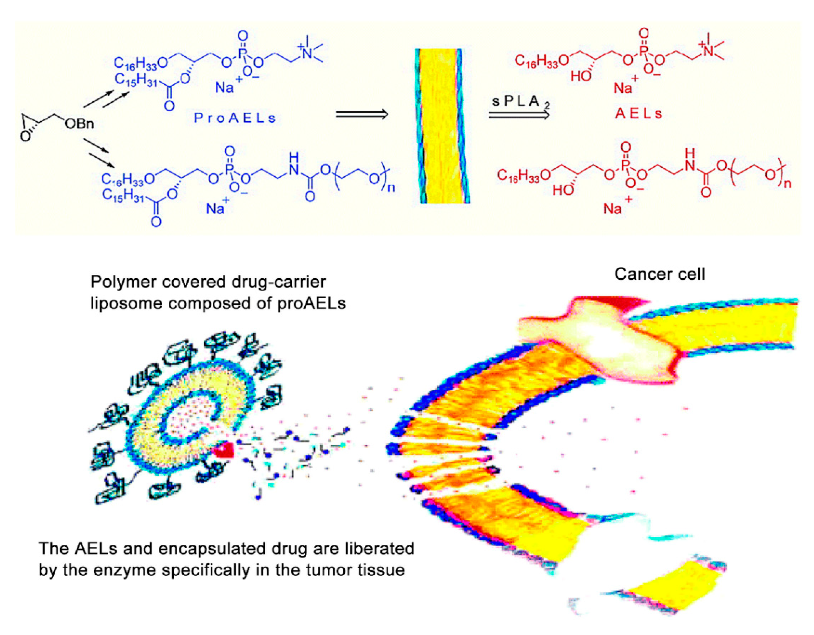 Applsci 11 09541 g003