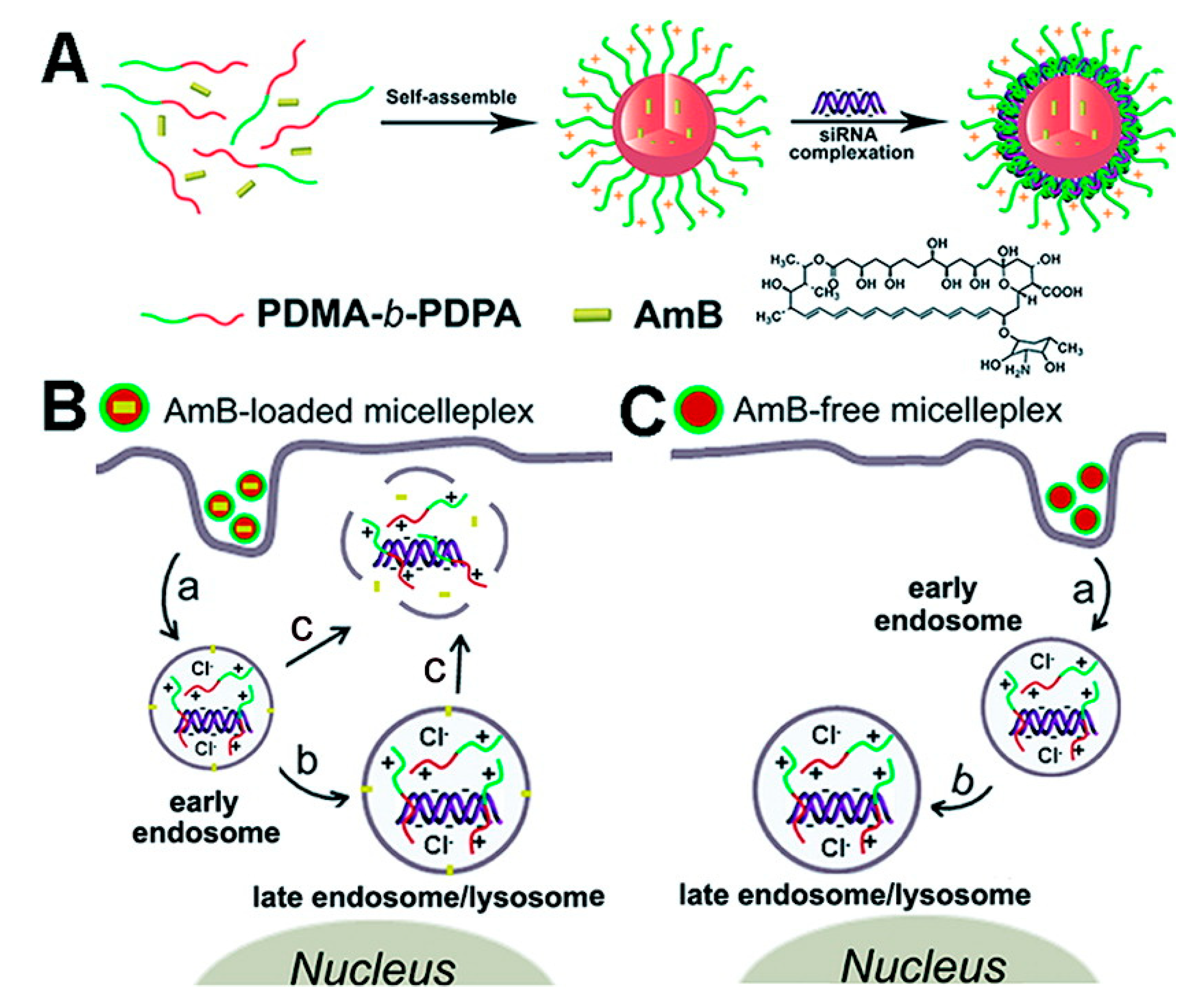 Applsci 11 09541 g004