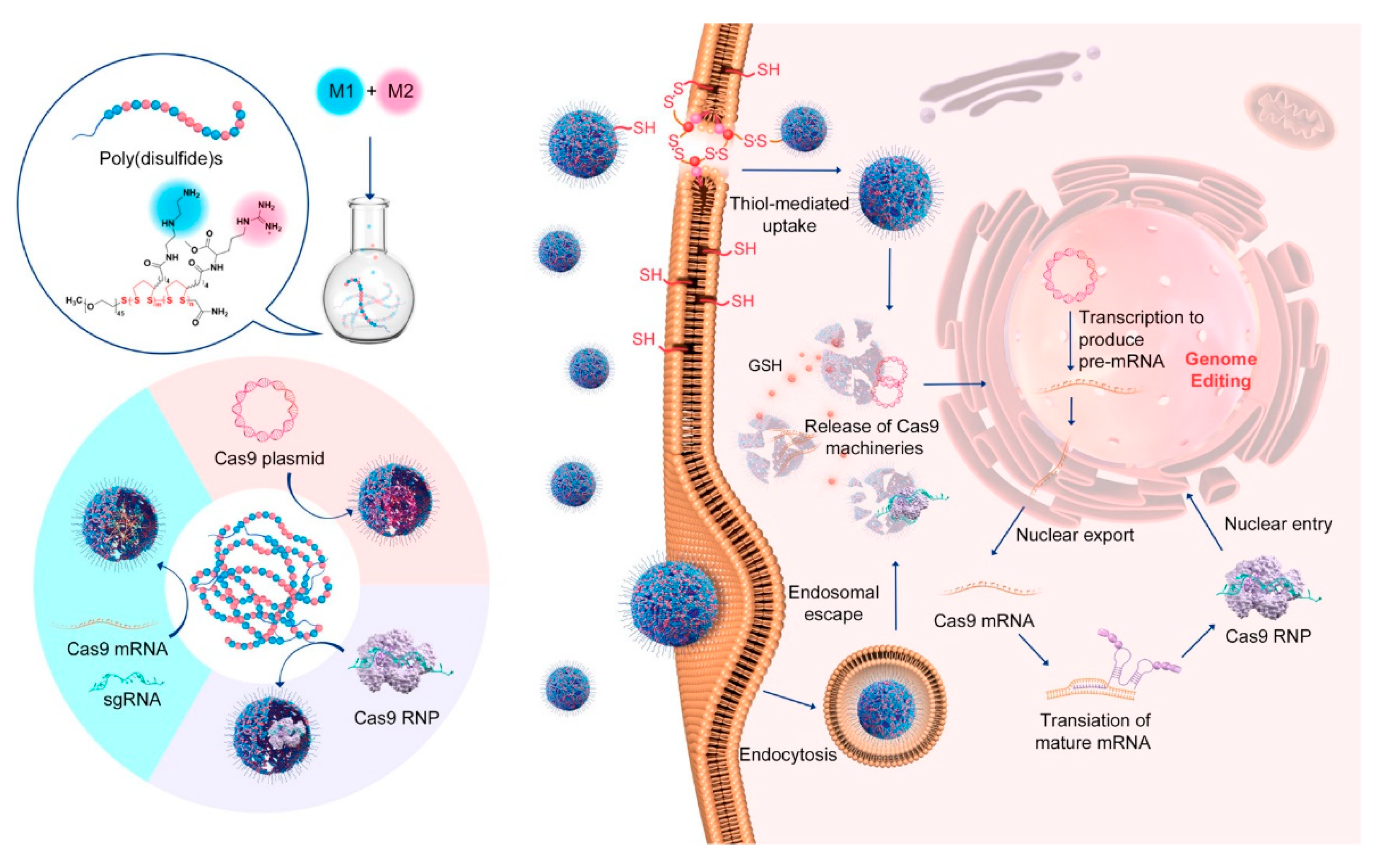 Applsci 11 09541 g005