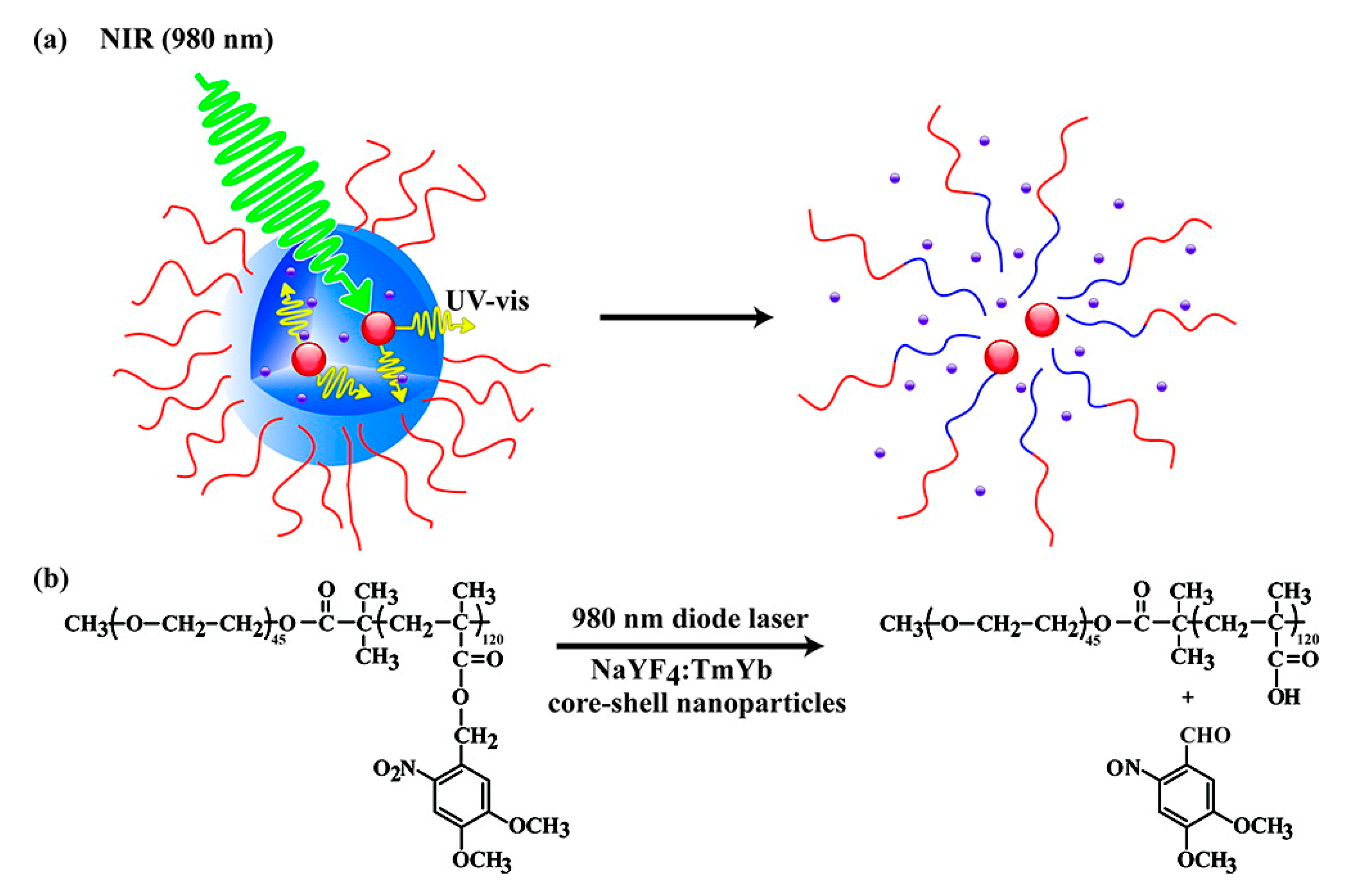 Applsci 11 09541 g006
