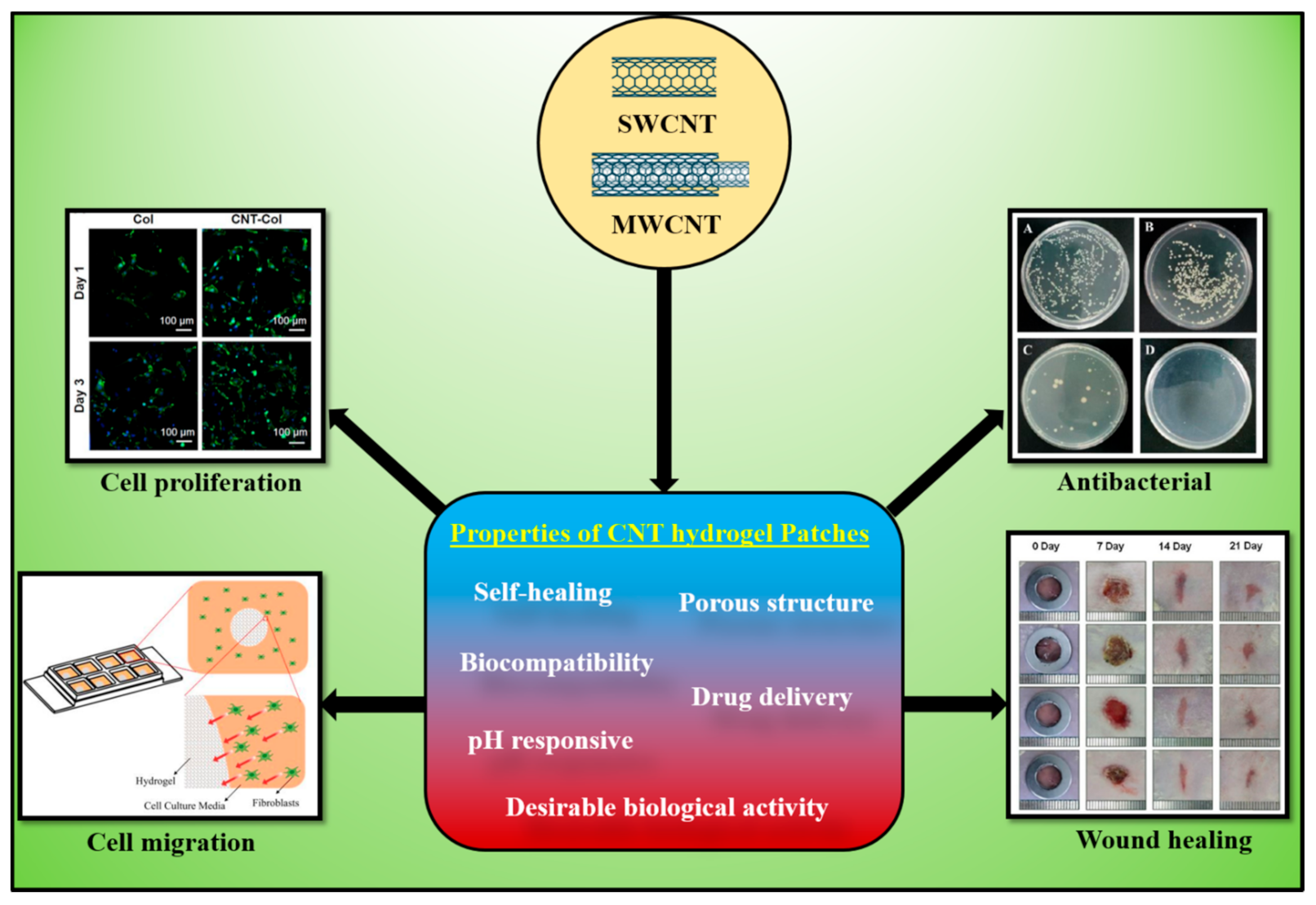 Applsci 11 09550 g001 550