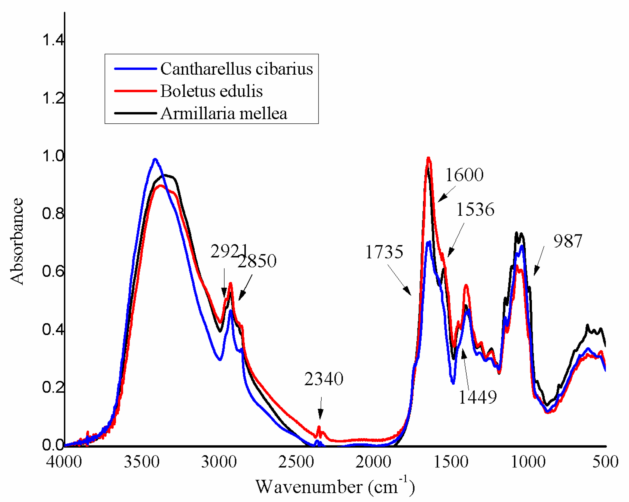 Applsci 11 09577 g001