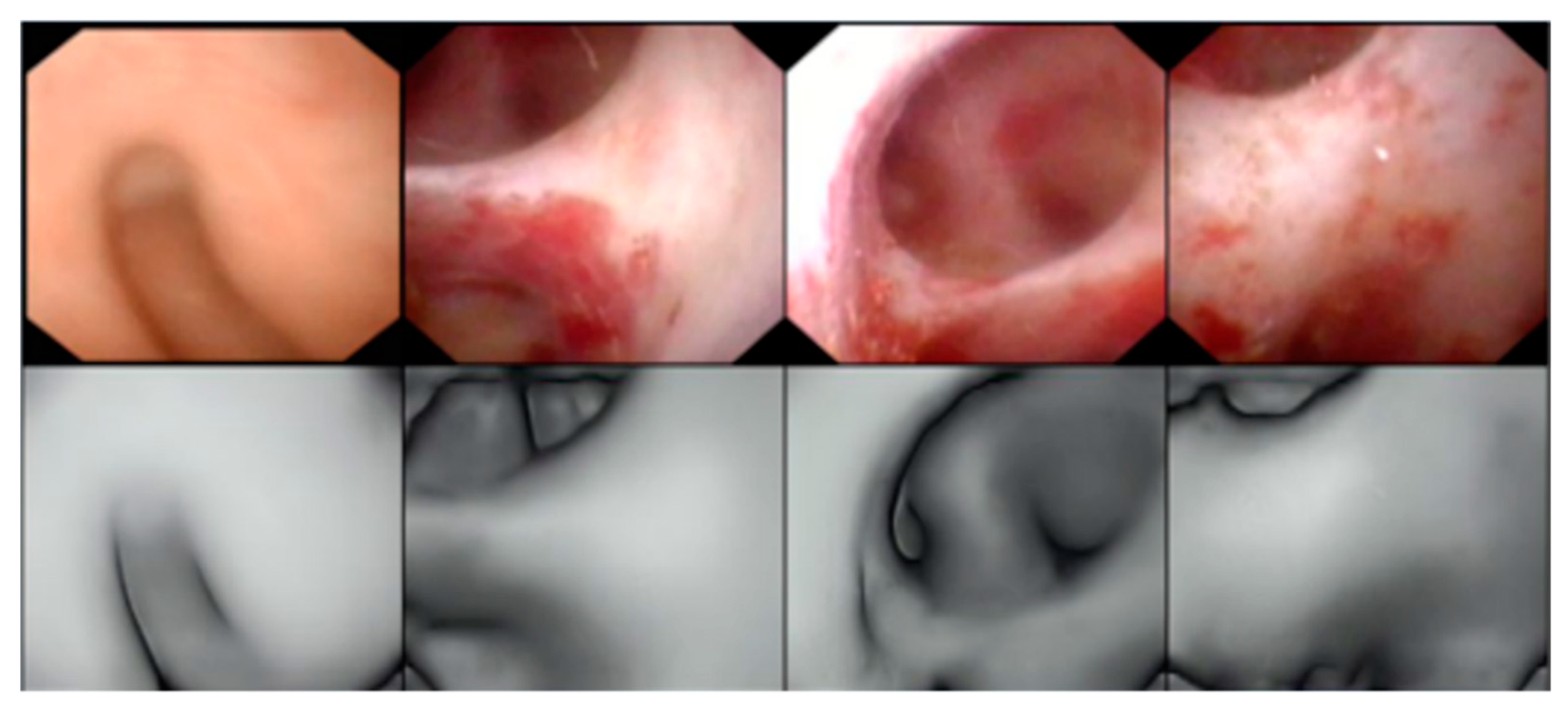 Applsci 11 09585 g008