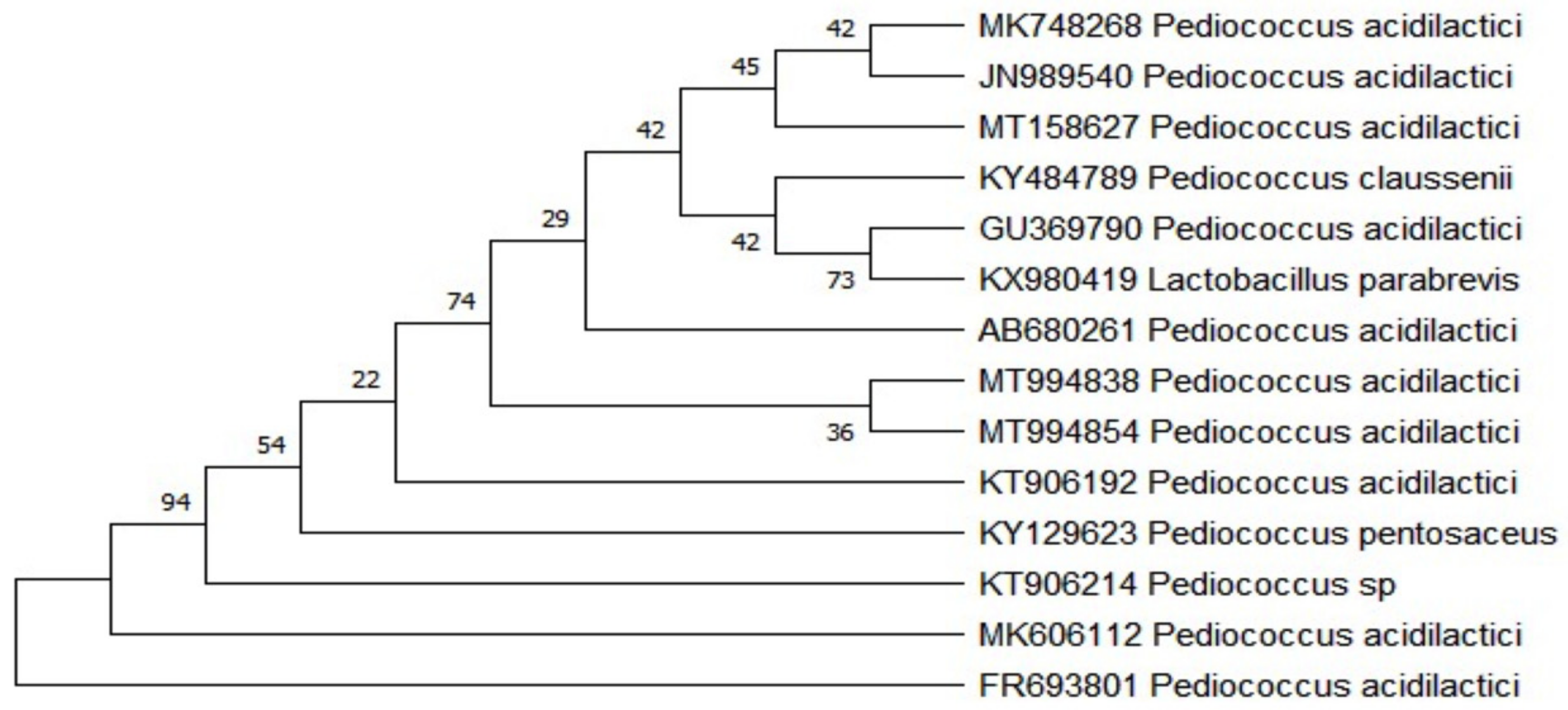 Applsci 11 09586 g002