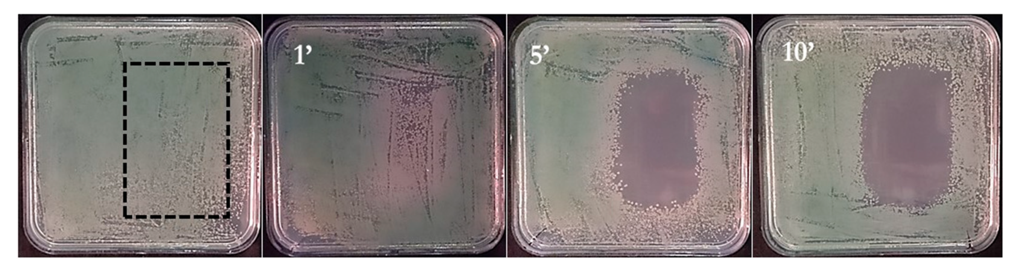 Applsci 11 09598 g011 550