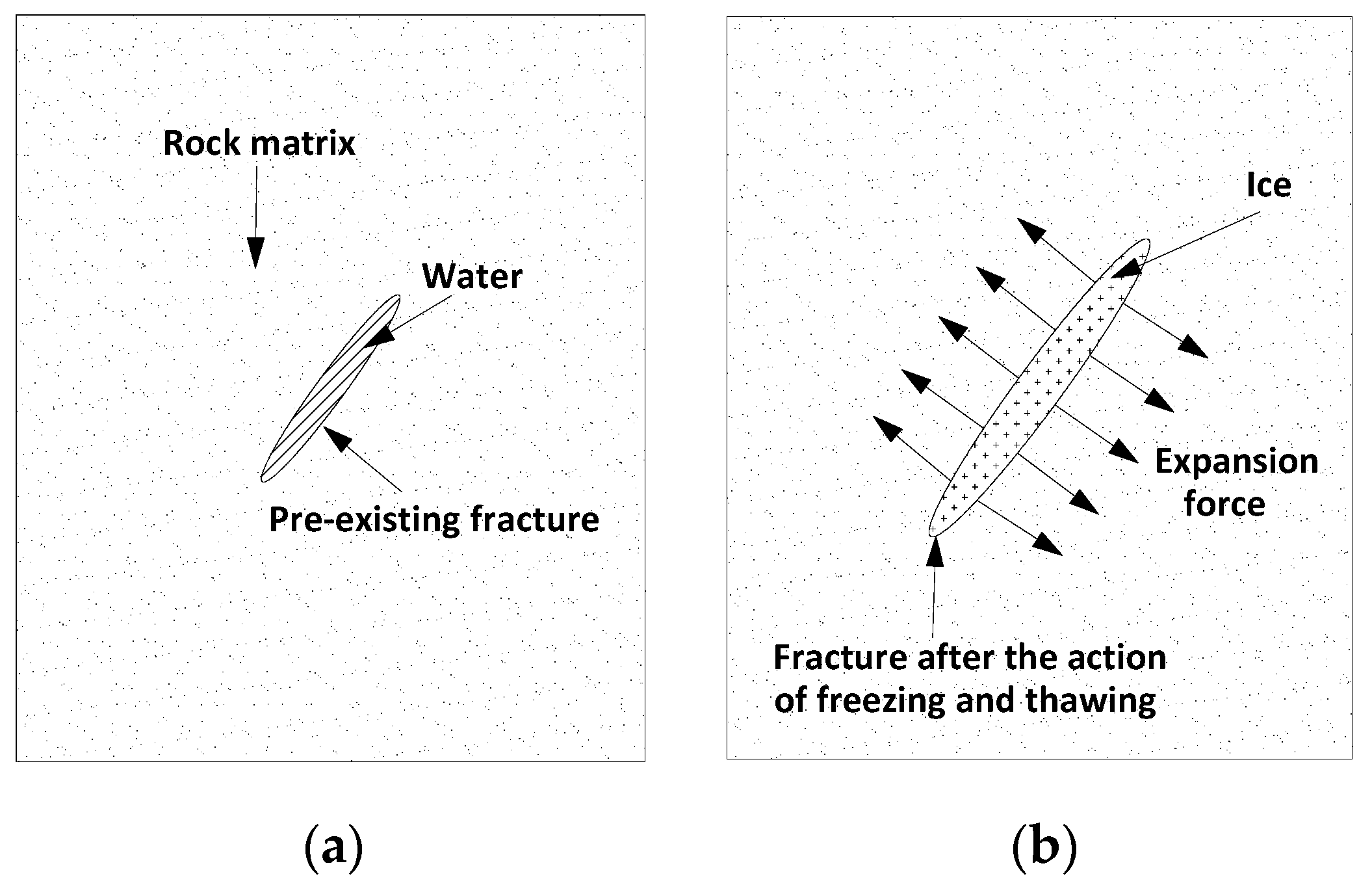 Applsci 11 09601 g011