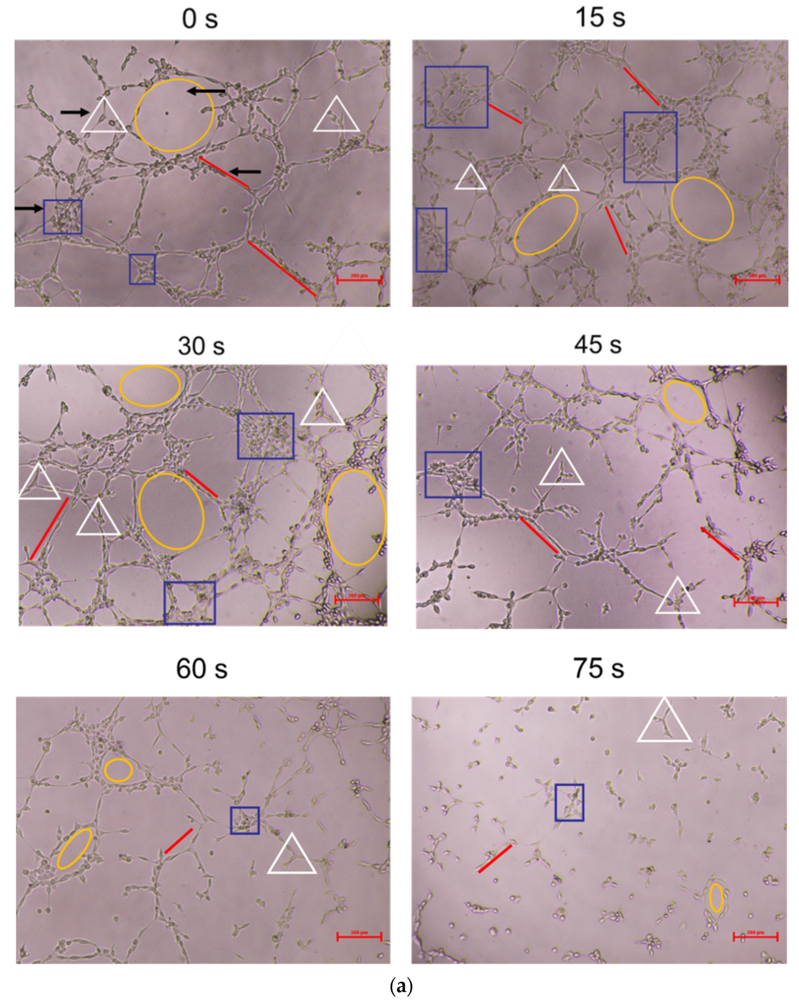 Applsci 11 09603 g003a 550