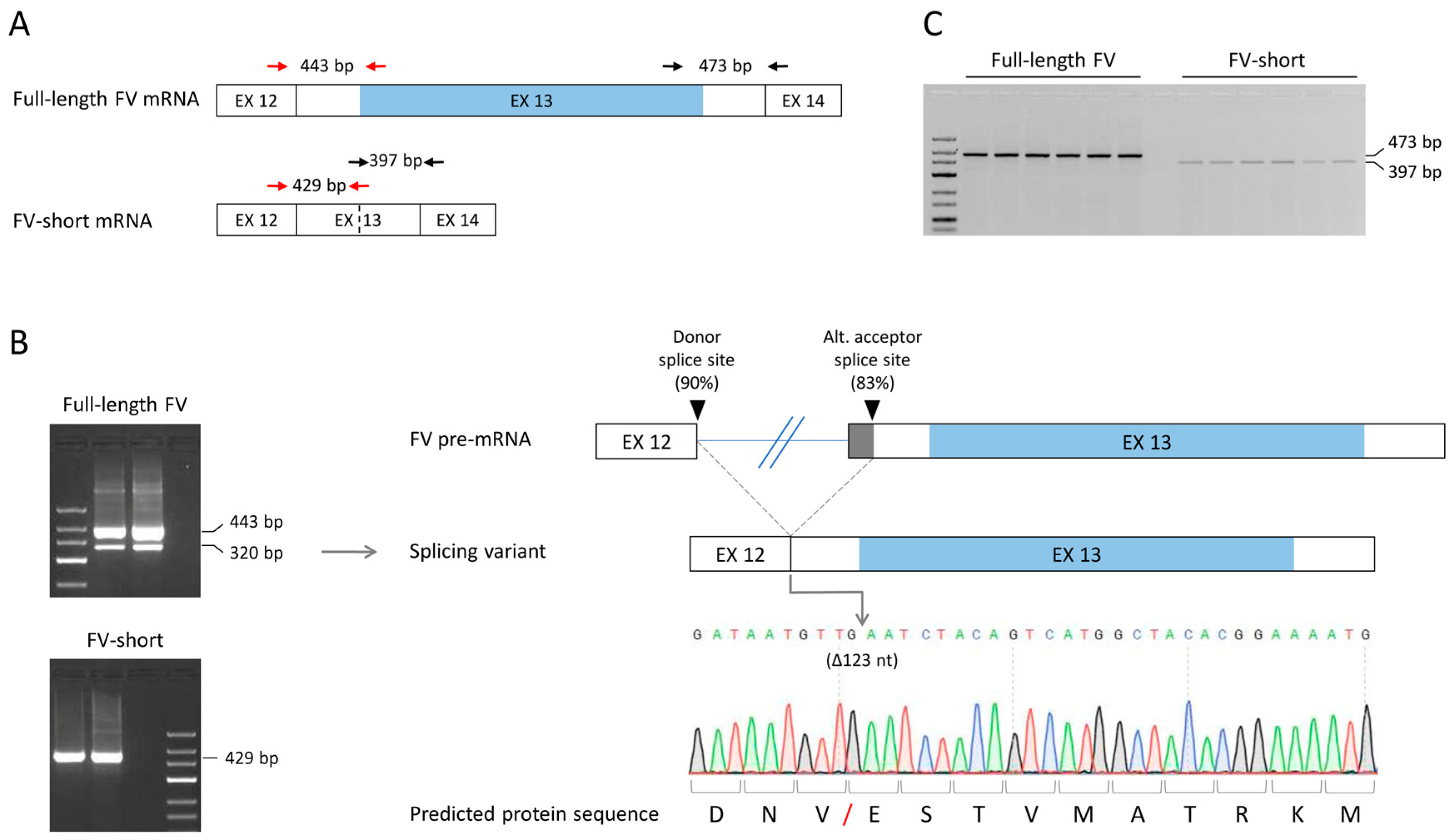 Applsci 11 09621 g003