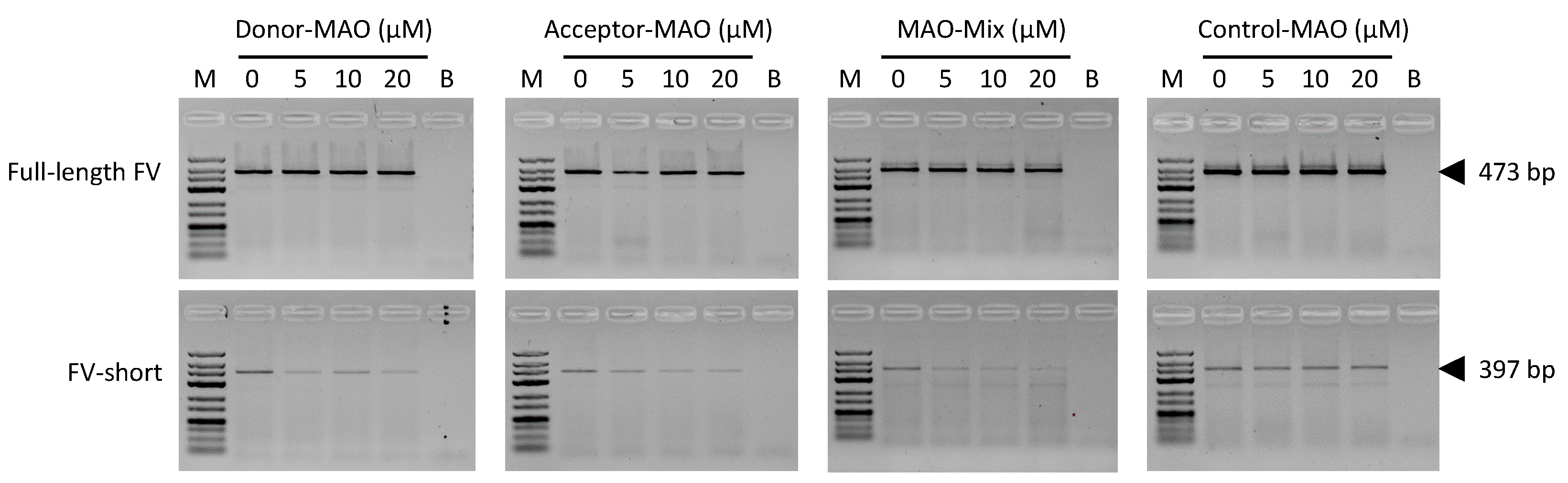 Applsci 11 09621 g004