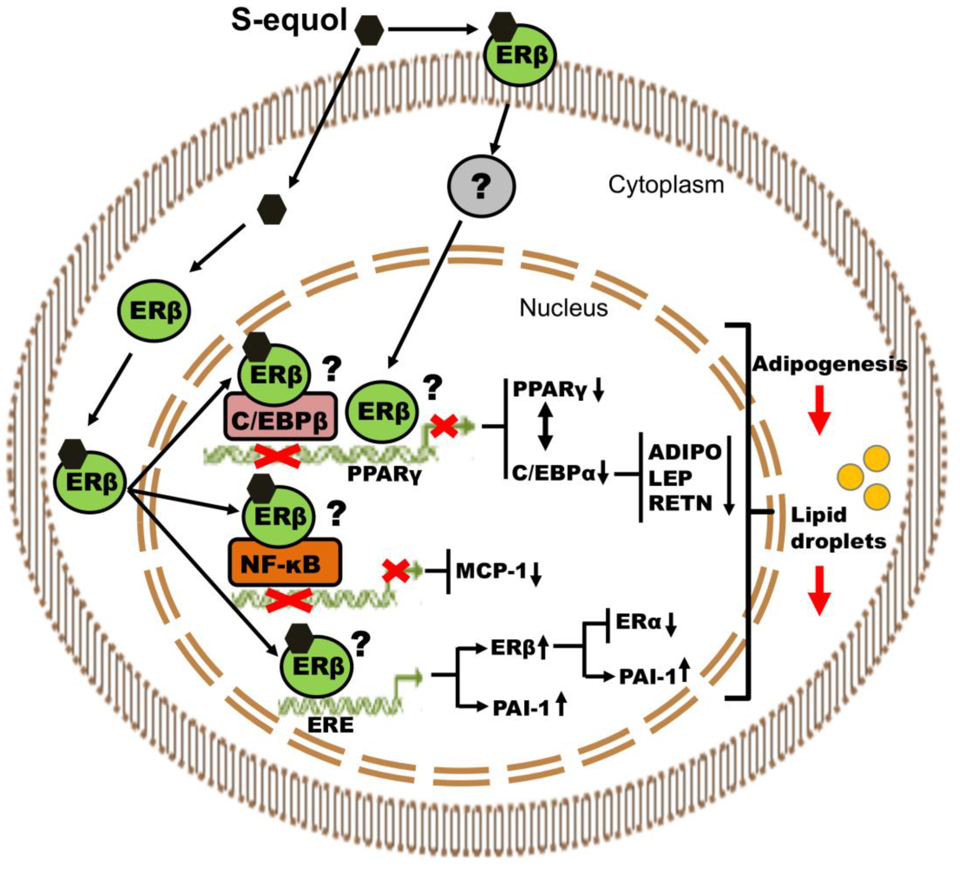 Applsci 11 09657 g007 Applsci 11 09657 g007