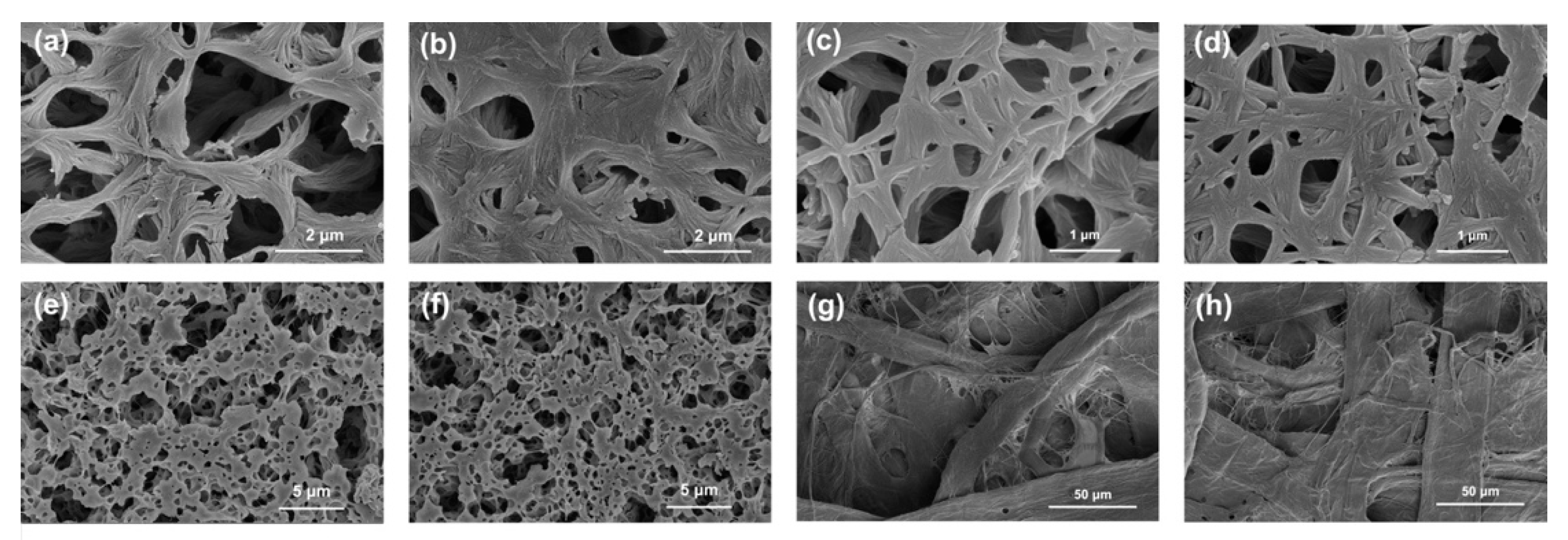 Applsci 11 09684 g002 550