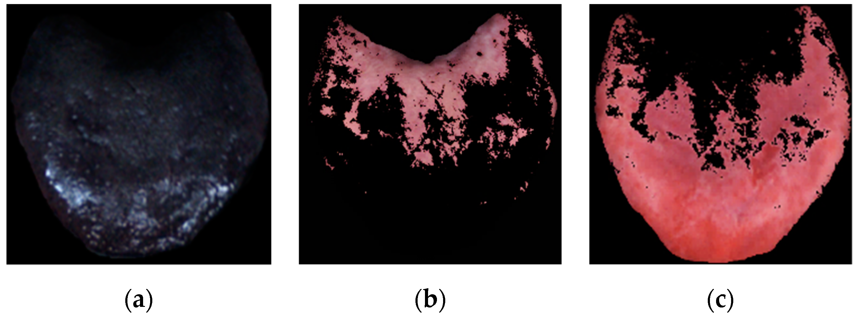 Applsci 11 09716 g002 Applsci 11 09716 g002