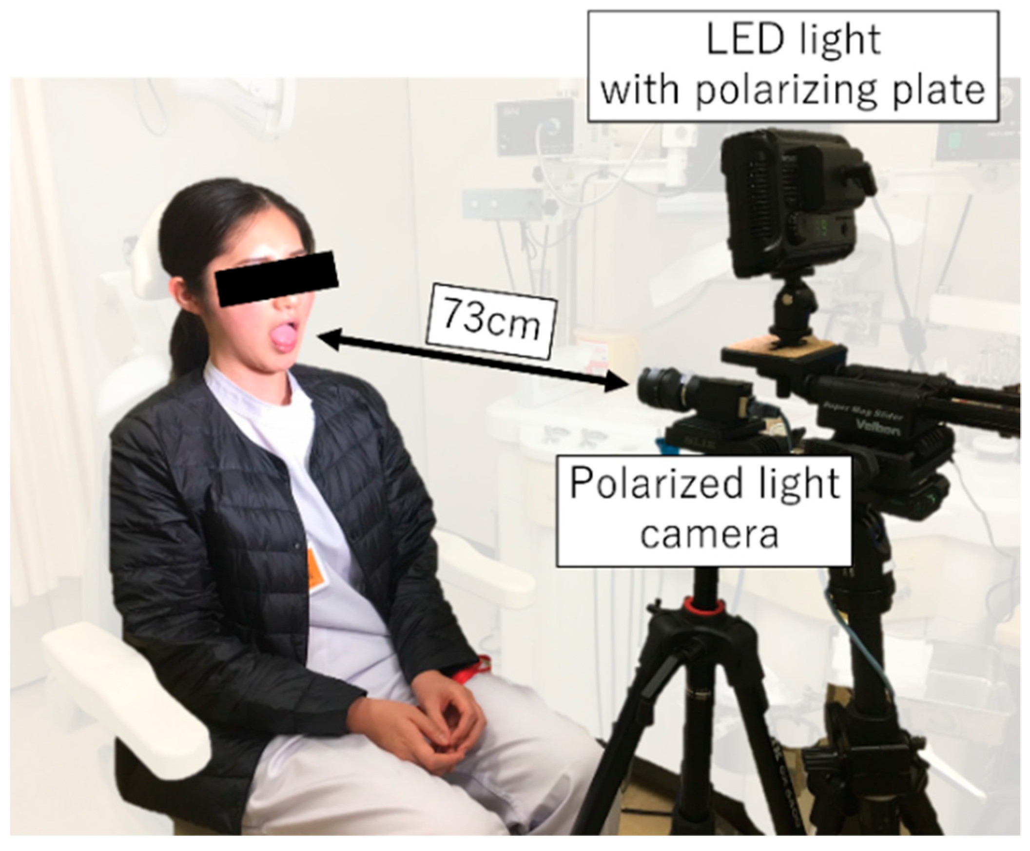 Applsci 11 09716 g003 Applsci 11 09716 g003