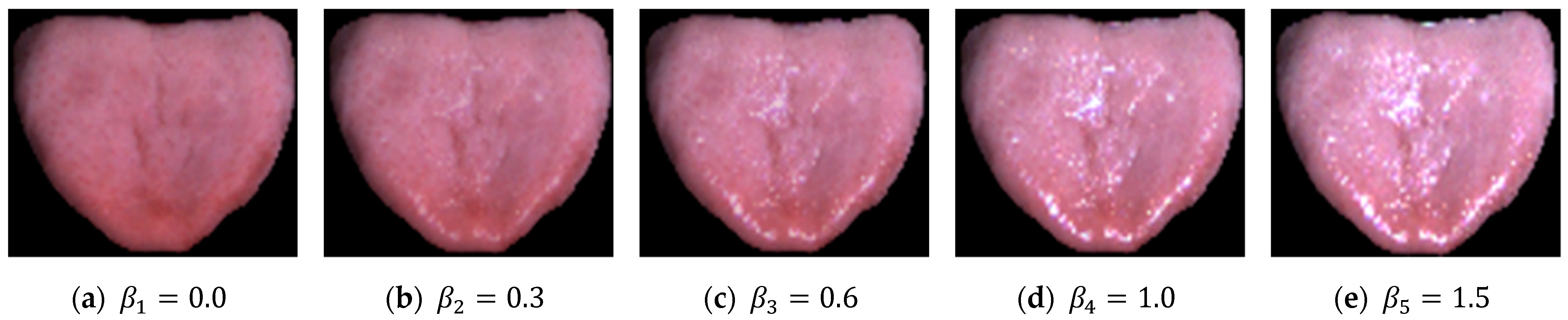 Applsci 11 09716 g005 Applsci 11 09716 g005