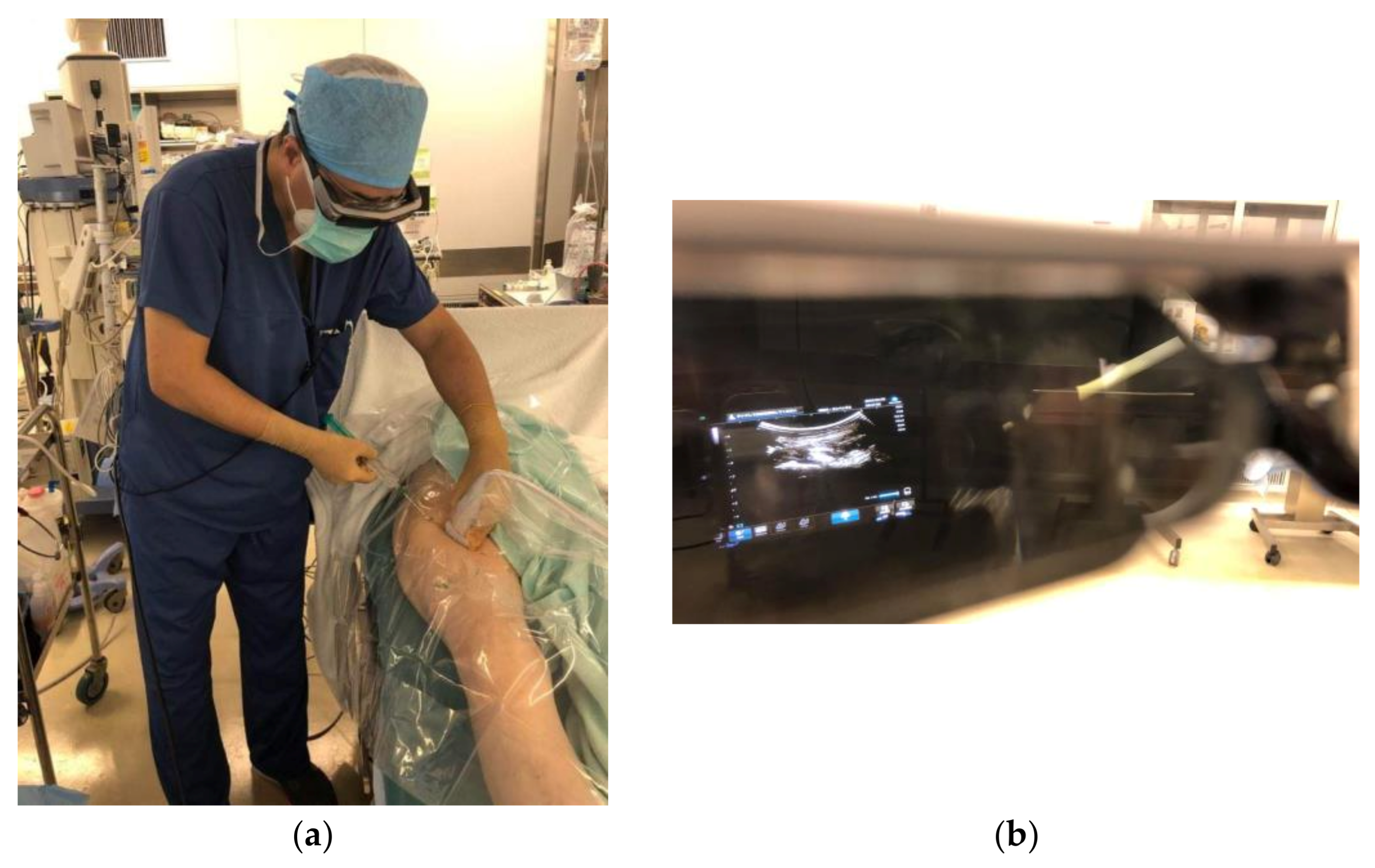 Applsci 11 09736 g002 Applsci 11 09736 g002