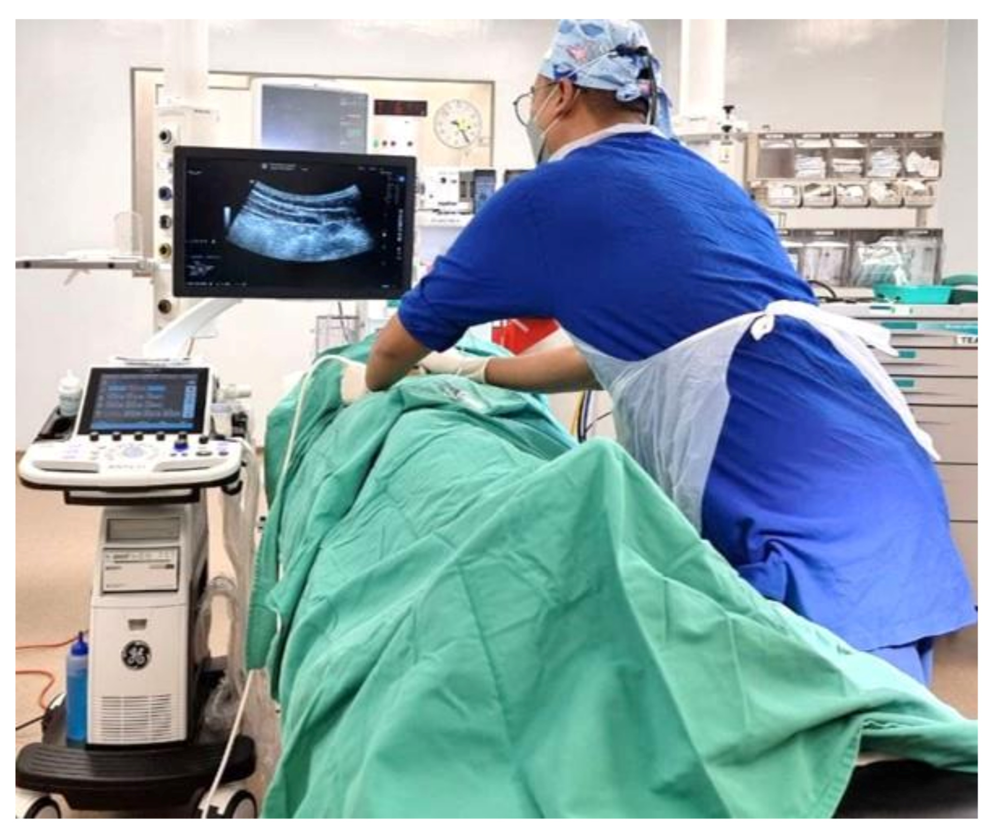 Applsci 11 09736 g004 Applsci 11 09736 g004