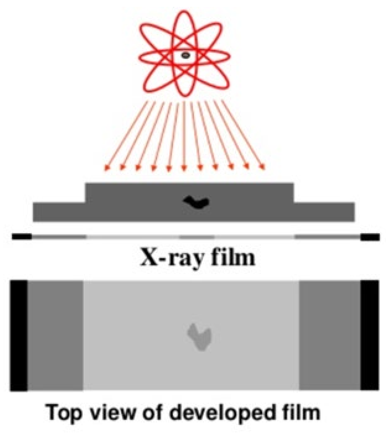 Applsci 11 09757 g021 550