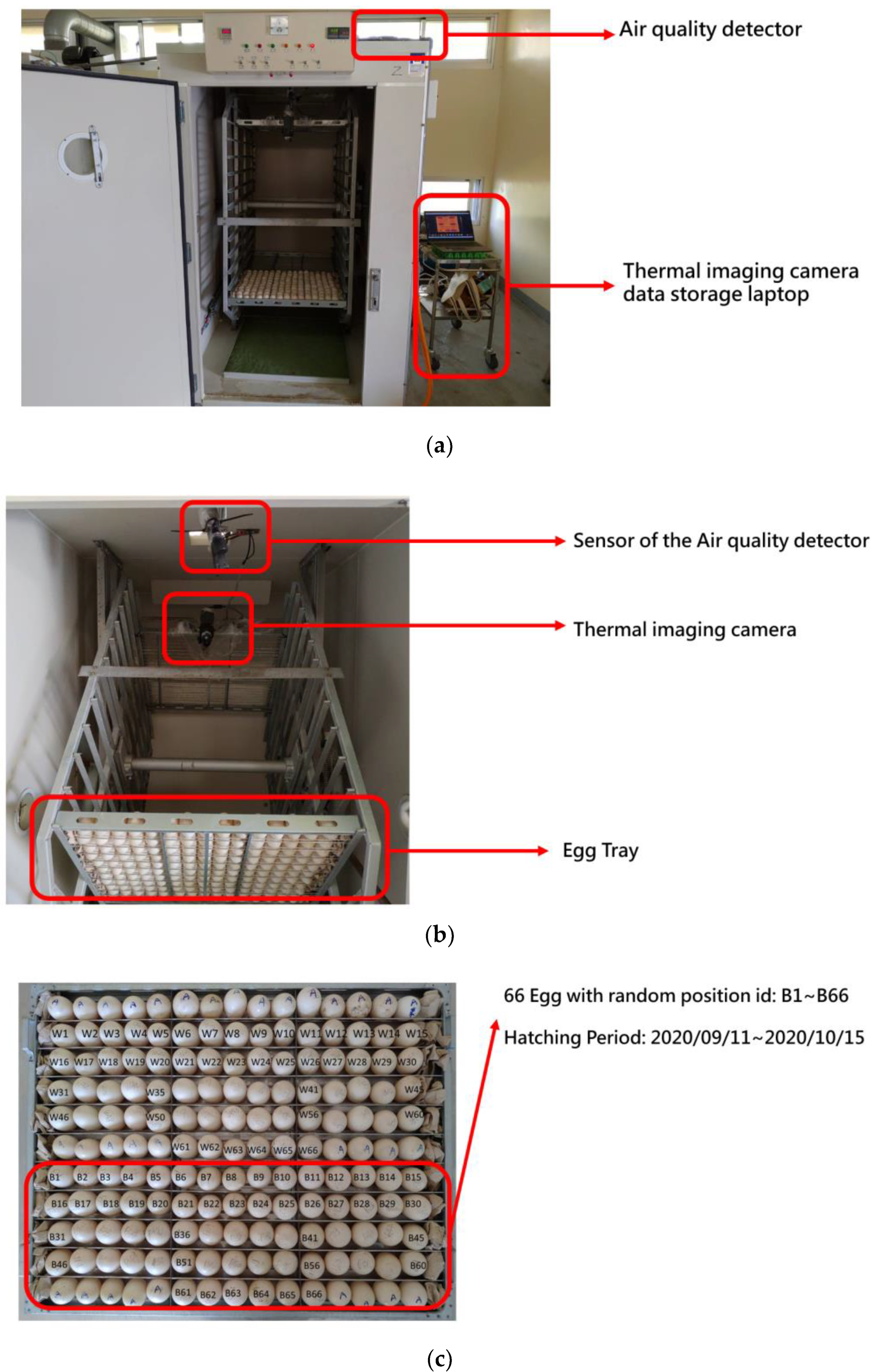 Applsci 11 09763 g002a 550