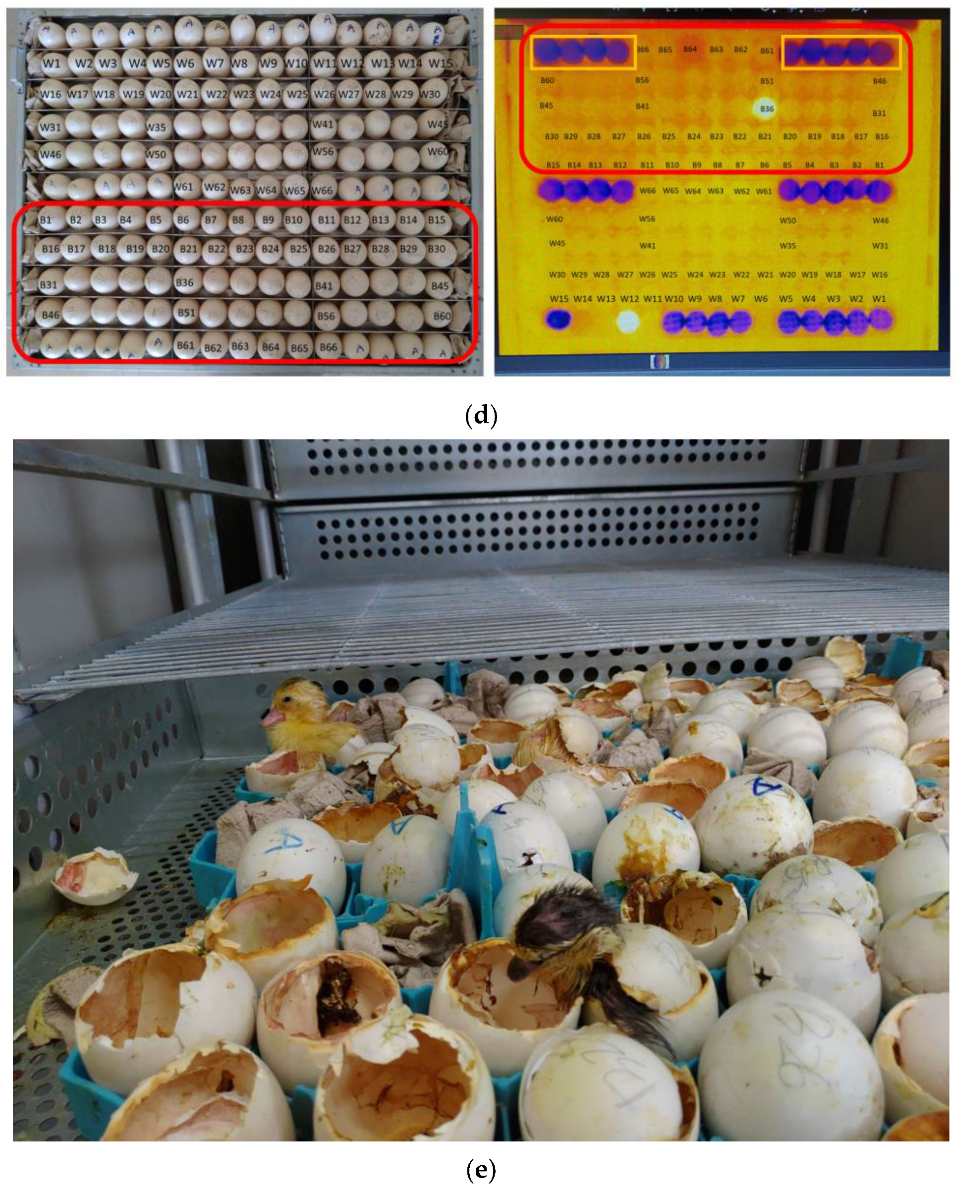 Applsci 11 09763 g002b 550