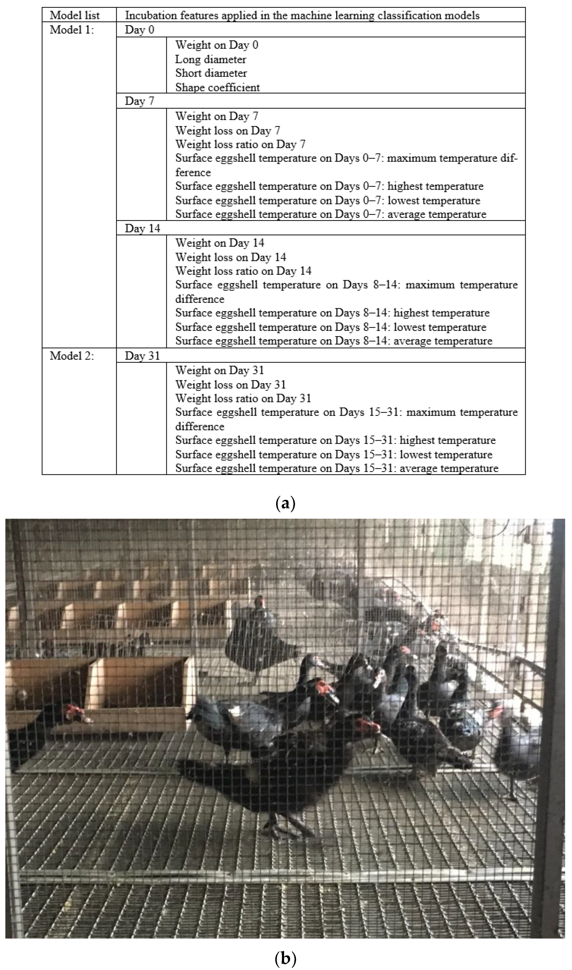 Applsci 11 09763 g005 550