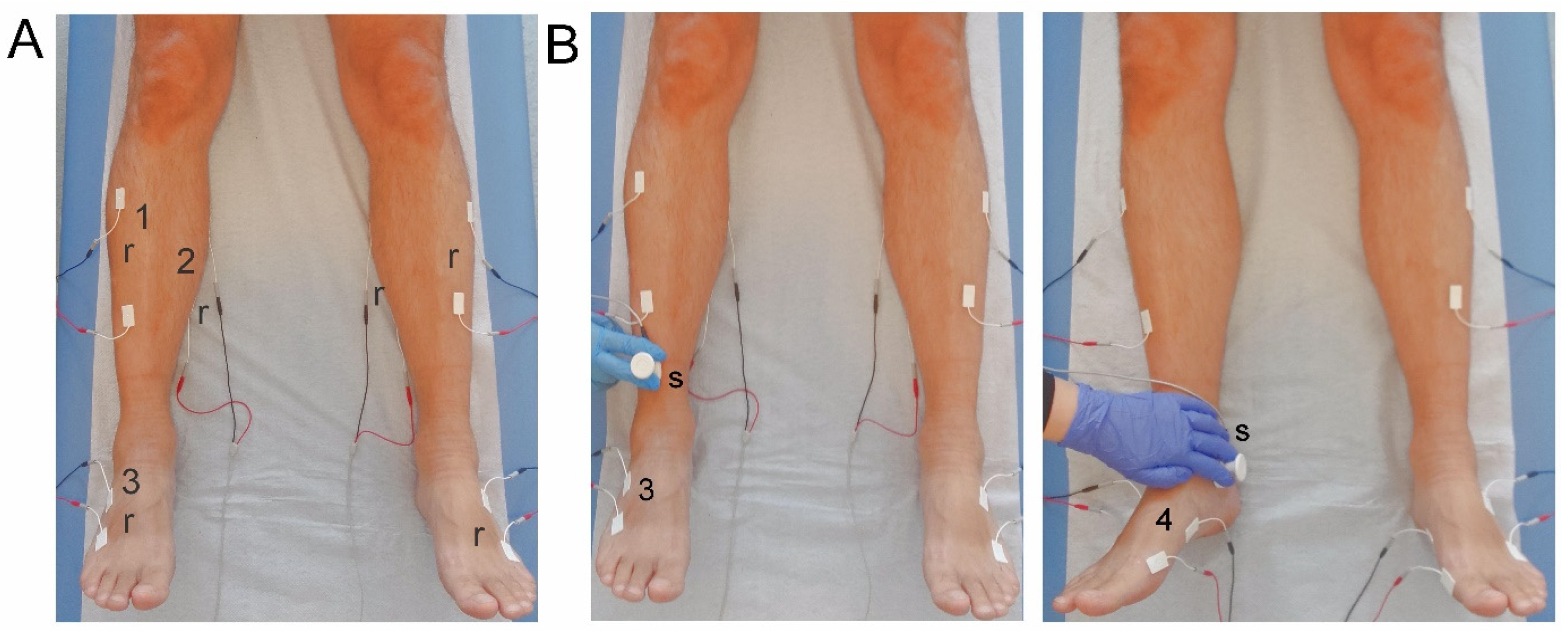 Applsci 11 09764 g002 550