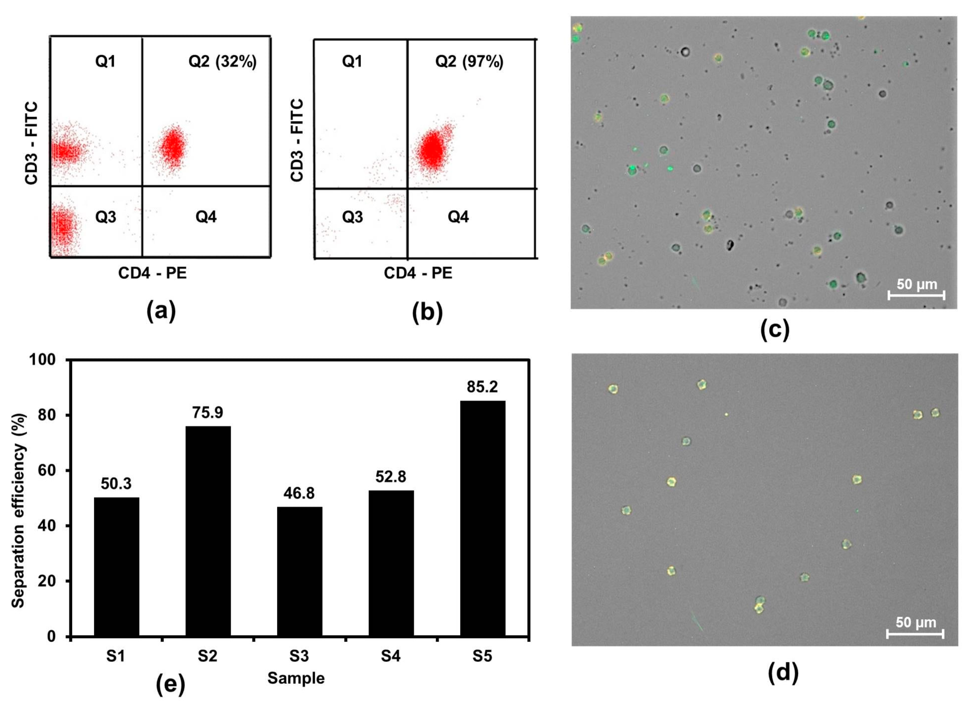 Applsci 11 09786 g001 Applsci 11 09786 g001