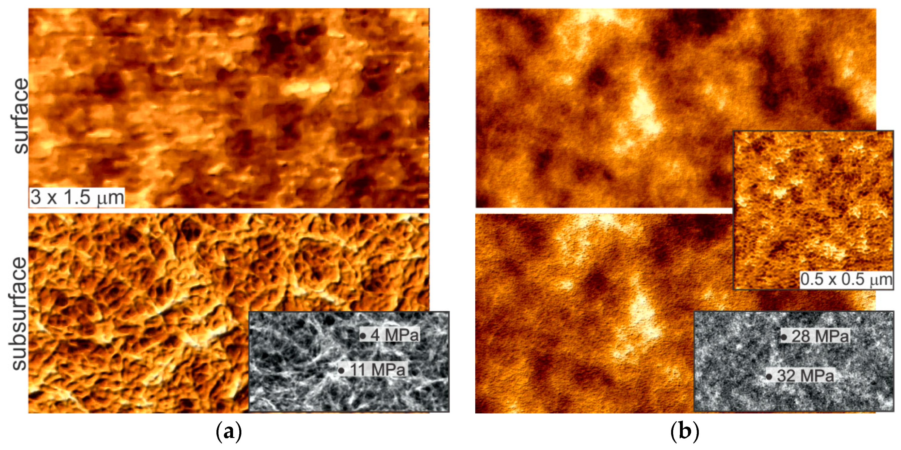 Applsci 11 09793 g001 Applsci 11 09793 g001