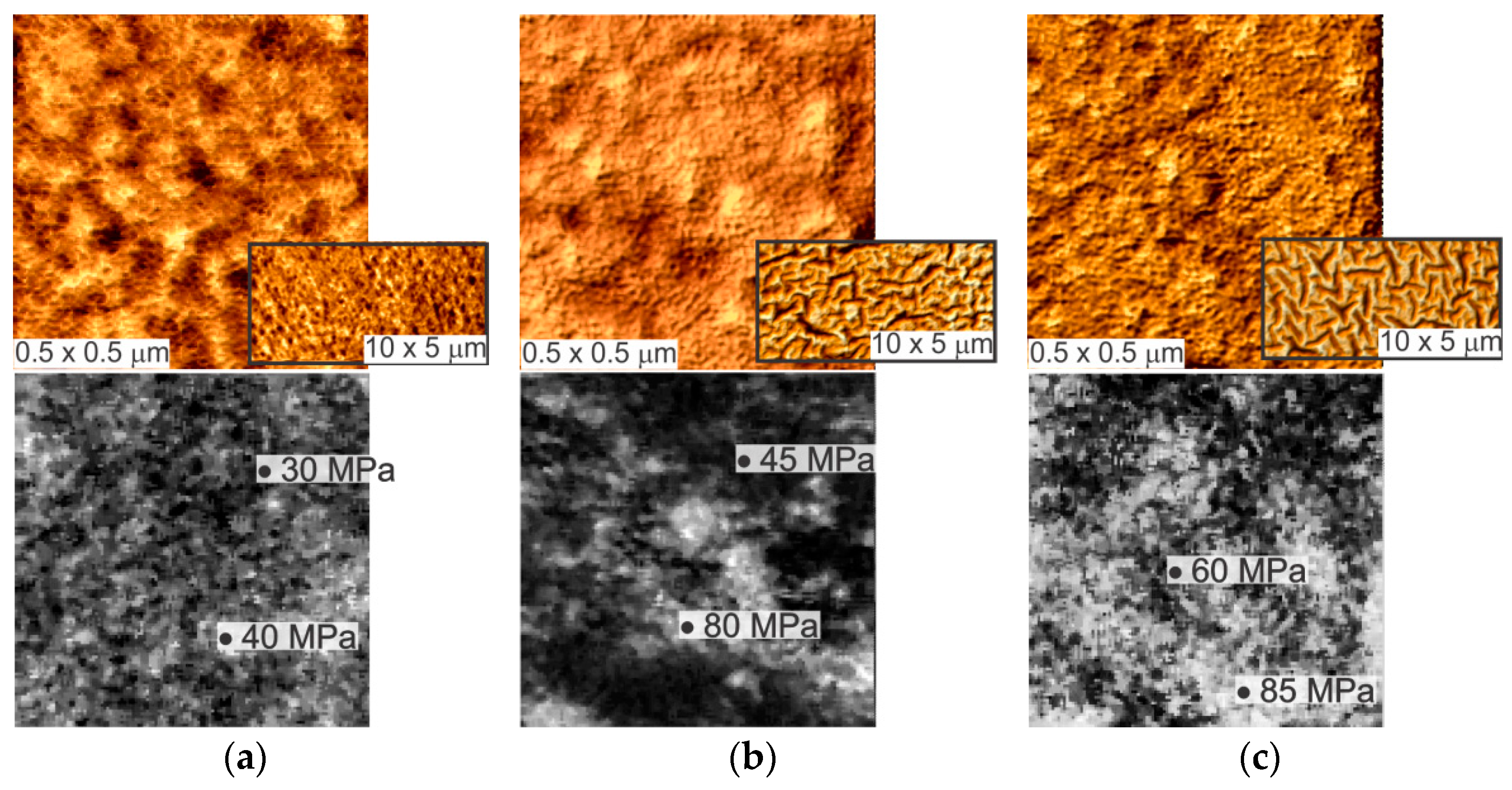 Applsci 11 09793 g002a Applsci 11 09793 g002a