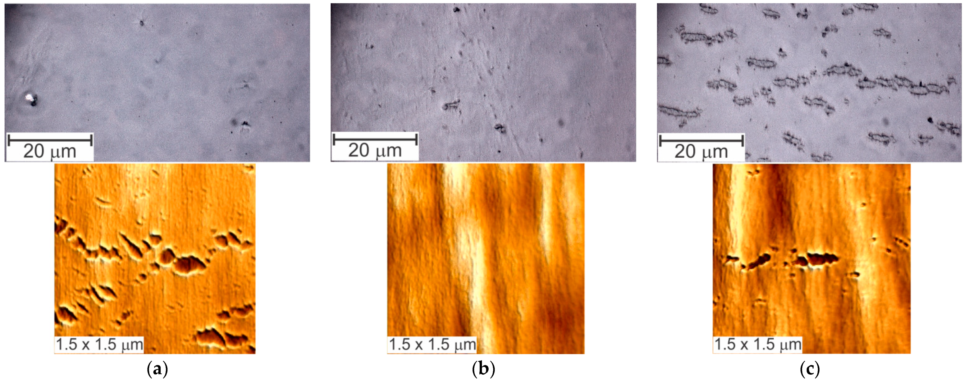 Applsci 11 09793 g006a Applsci 11 09793 g006a