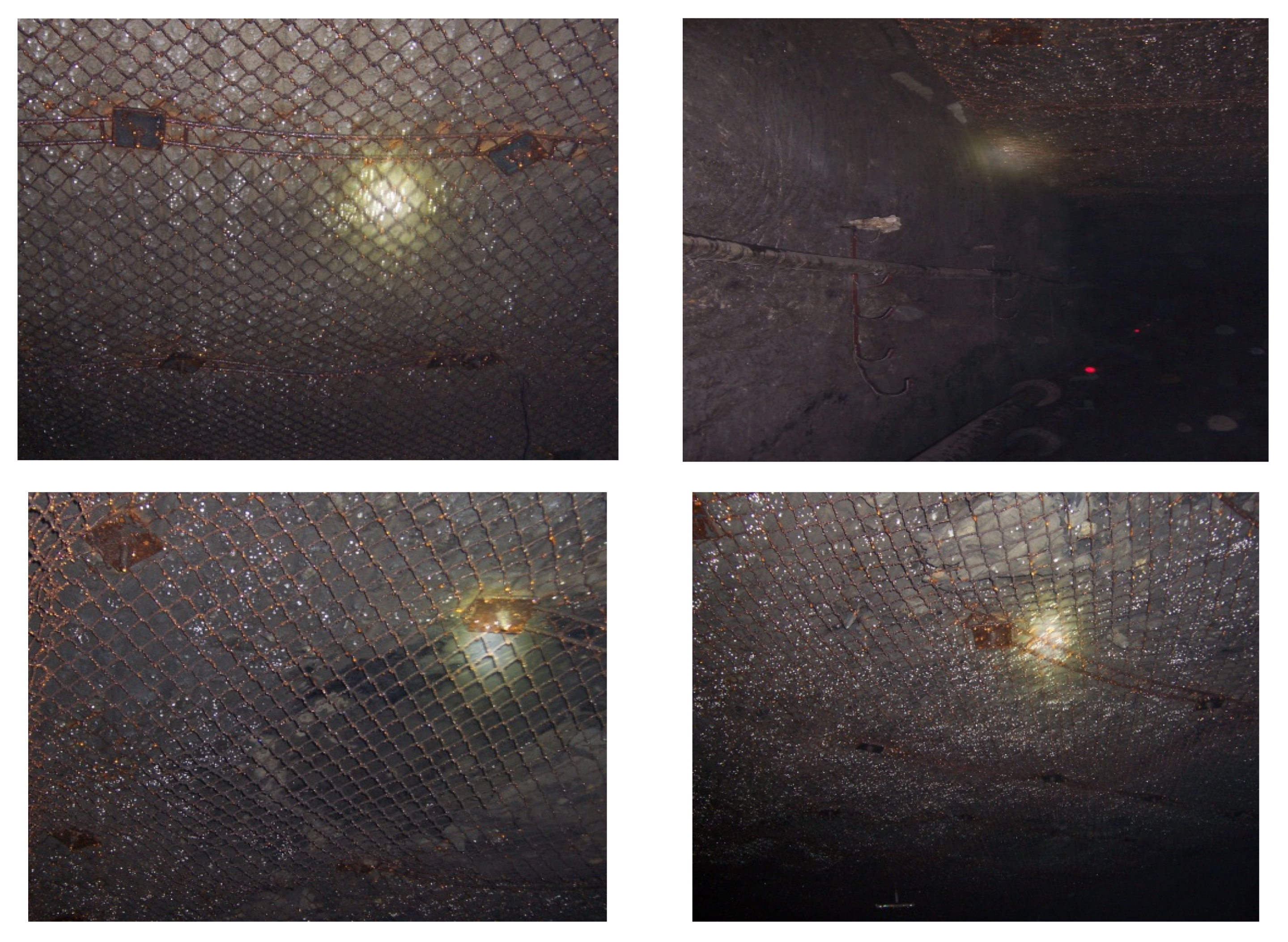 Applsci 11 09795 g013