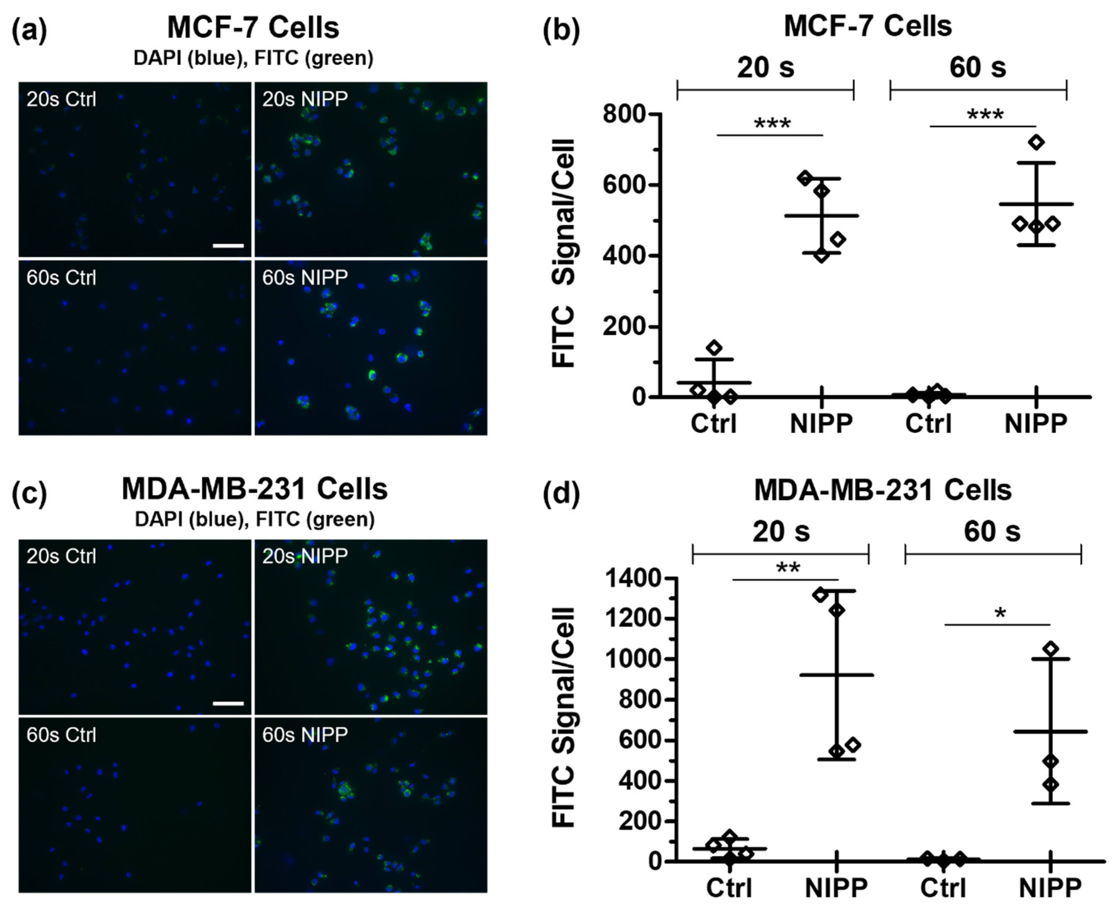 Applsci 11 09801 g004