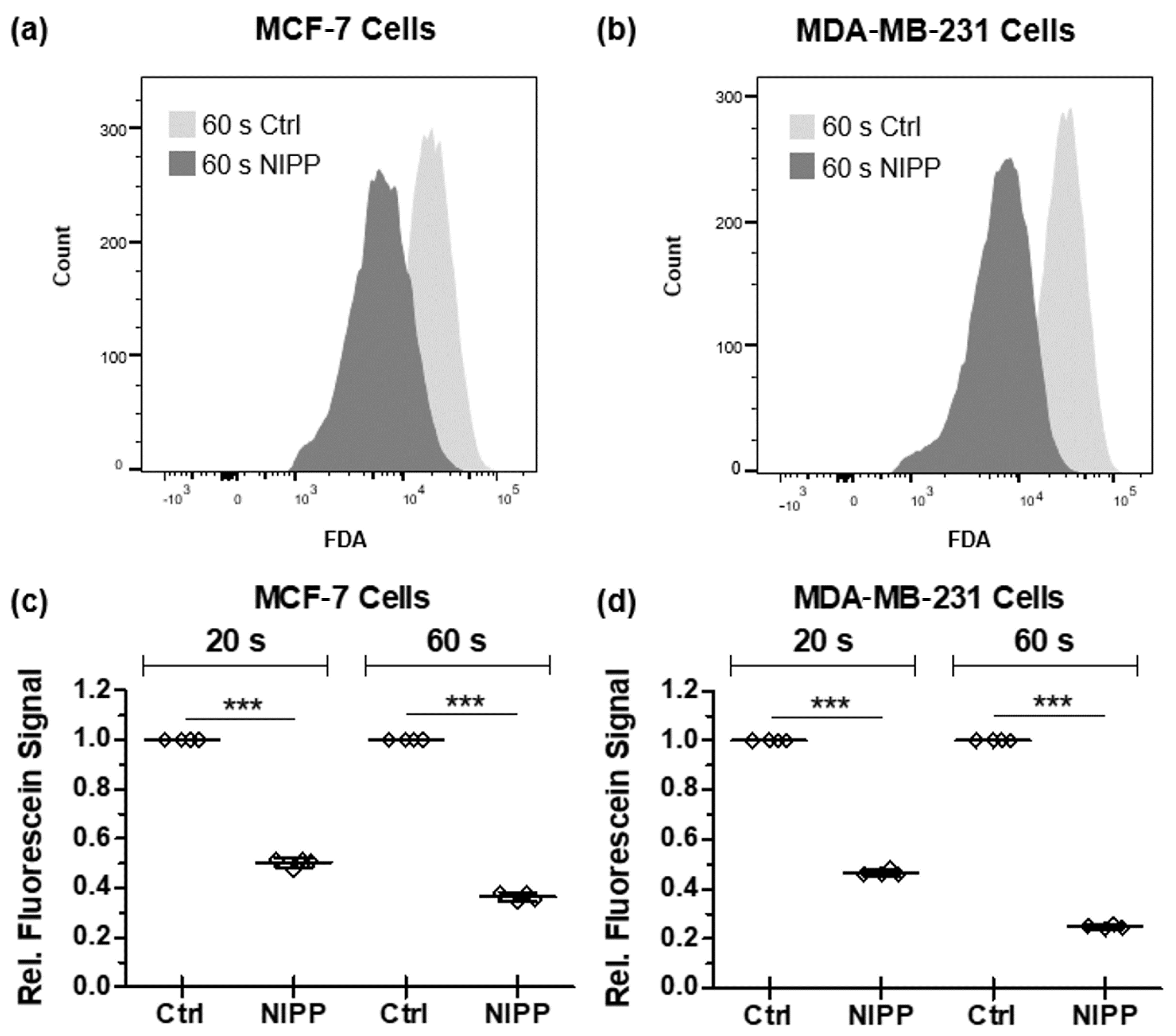 Applsci 11 09801 g005