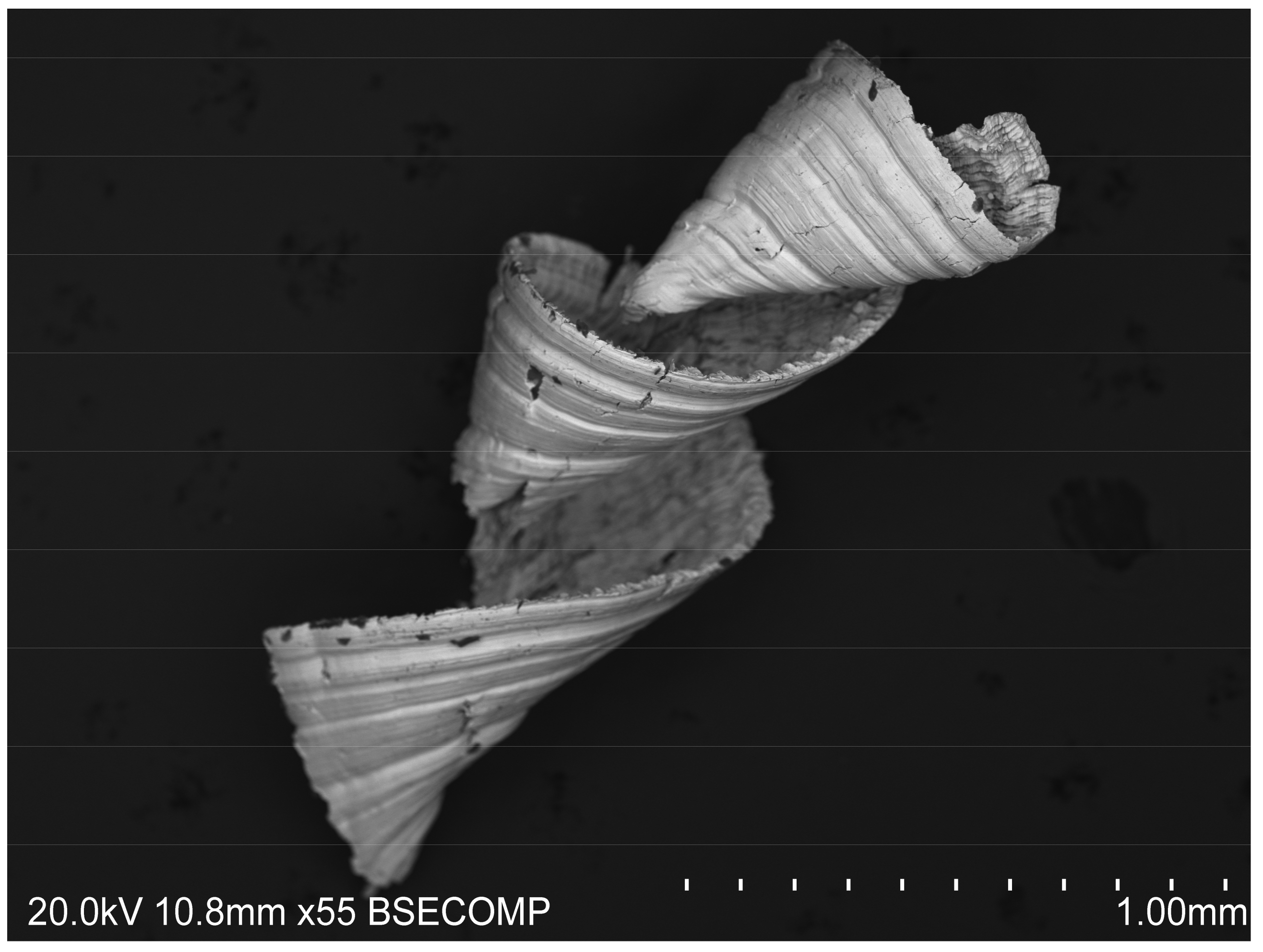 Applsci 11 09814 g002