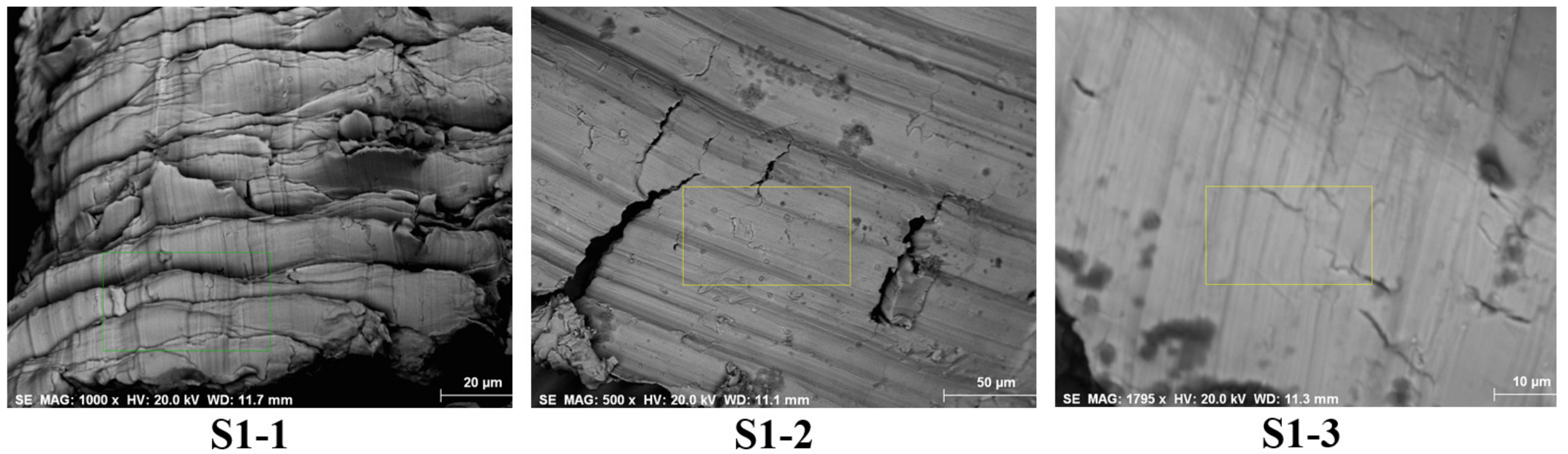 Applsci 11 09814 g003