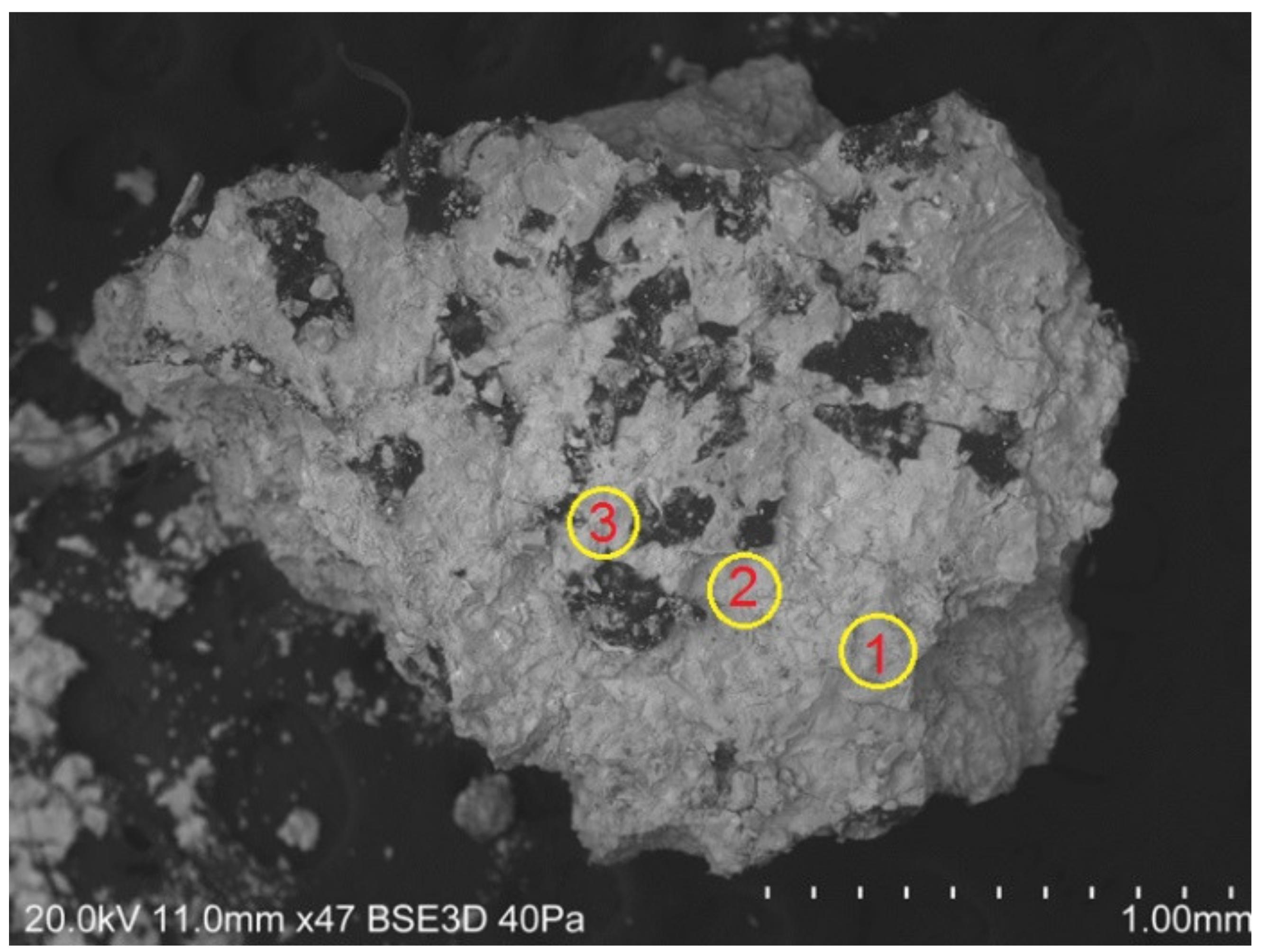 Applsci 11 09814 g005