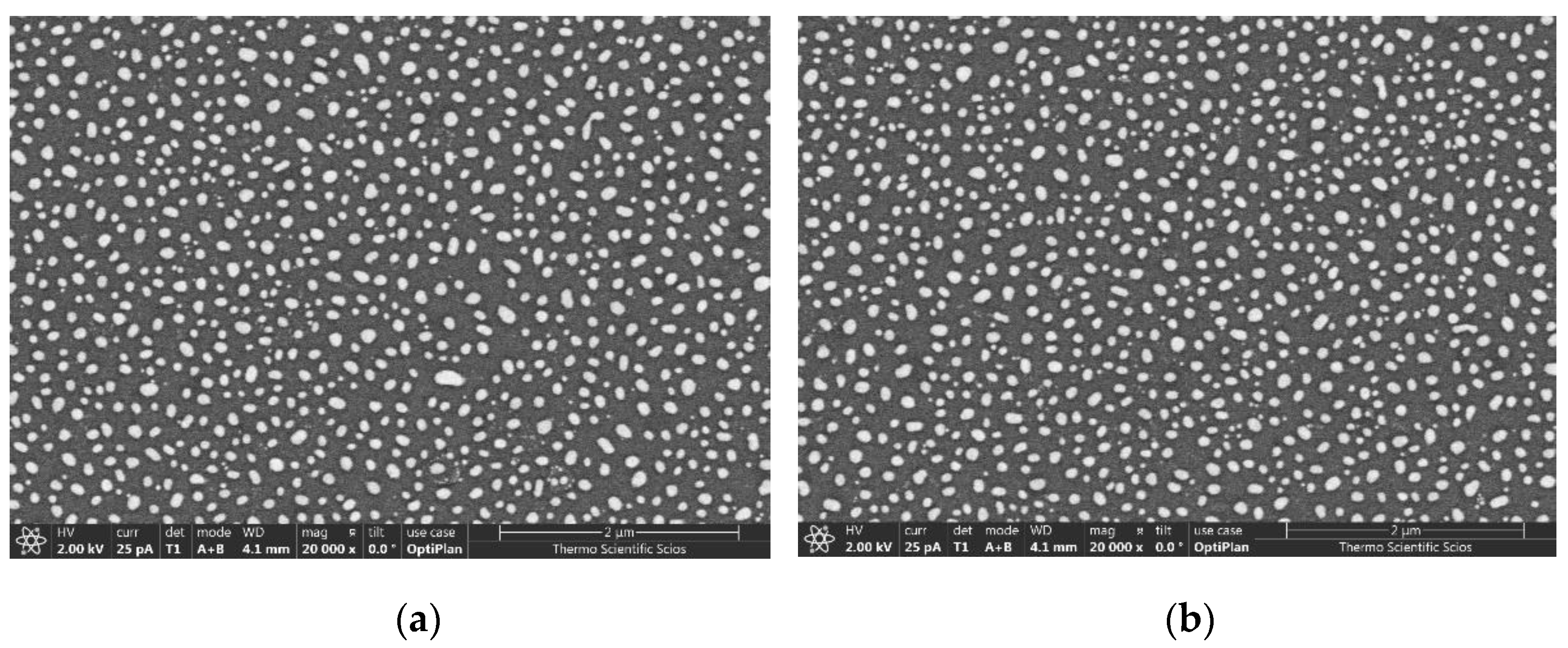 Applsci 11 09838 g001