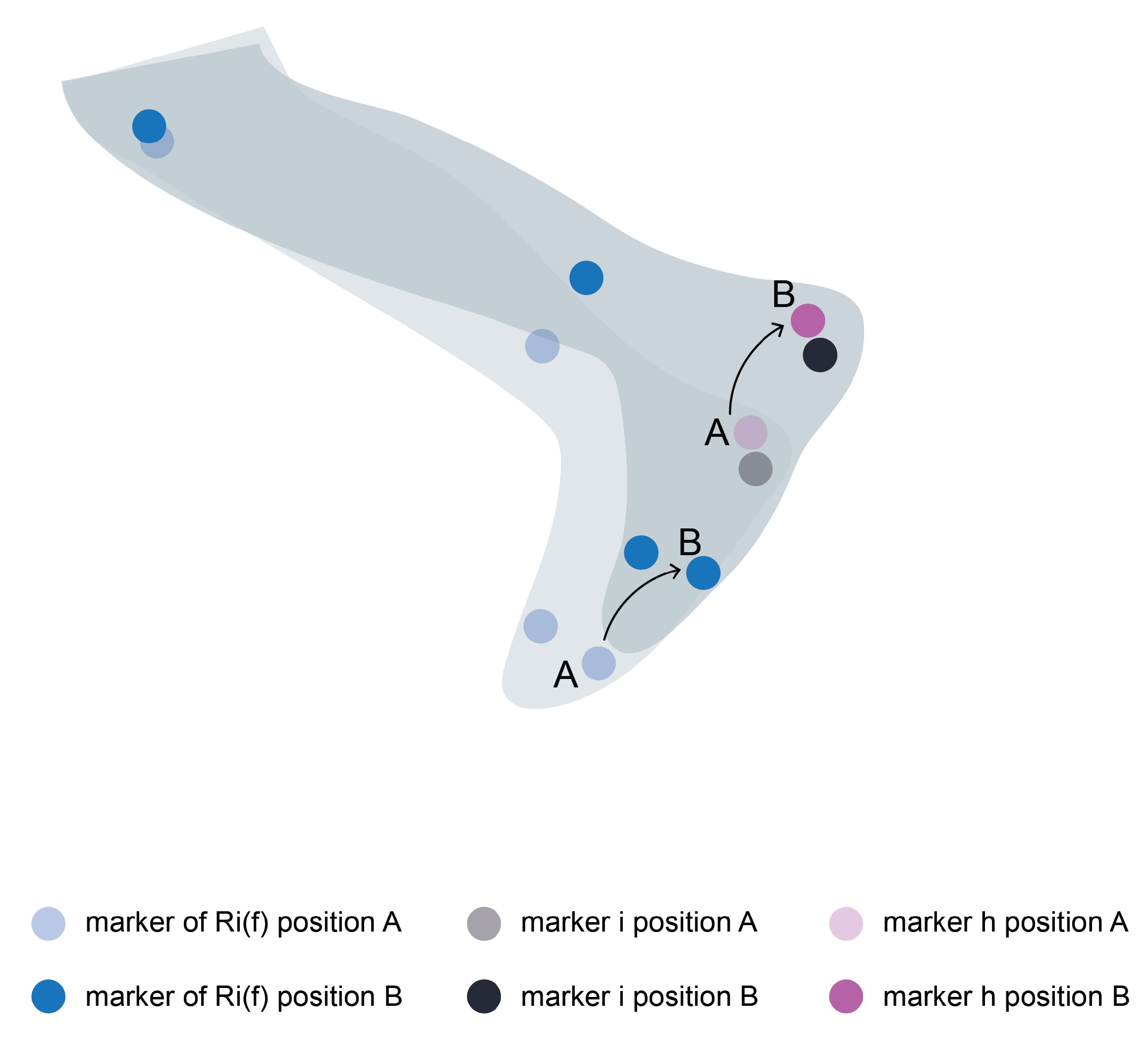 Applsci 11 09847 g003 550