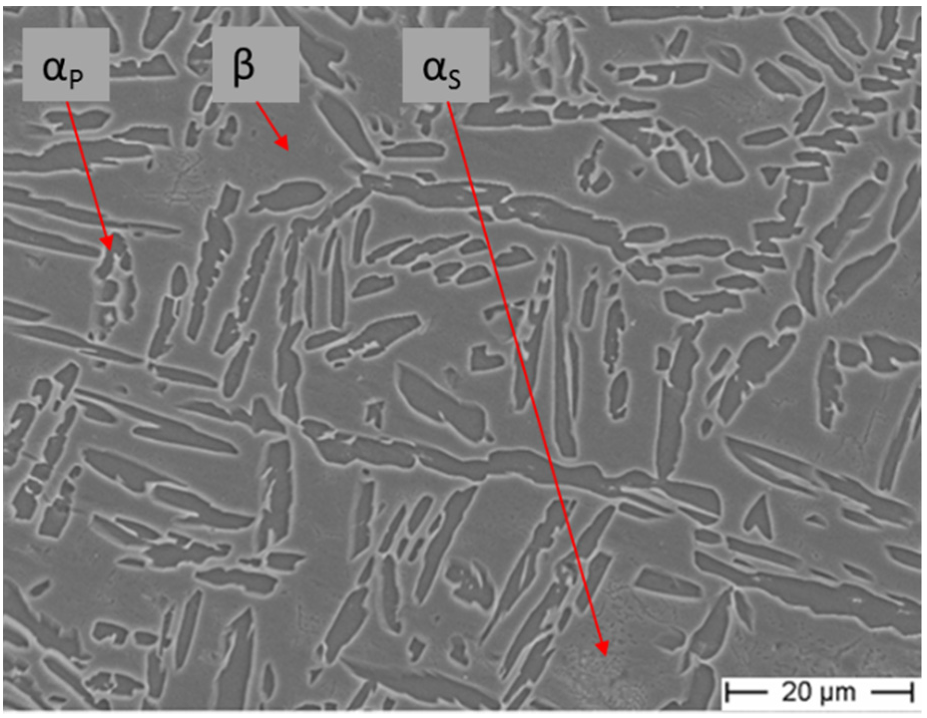 Applsci 11 09875 g001