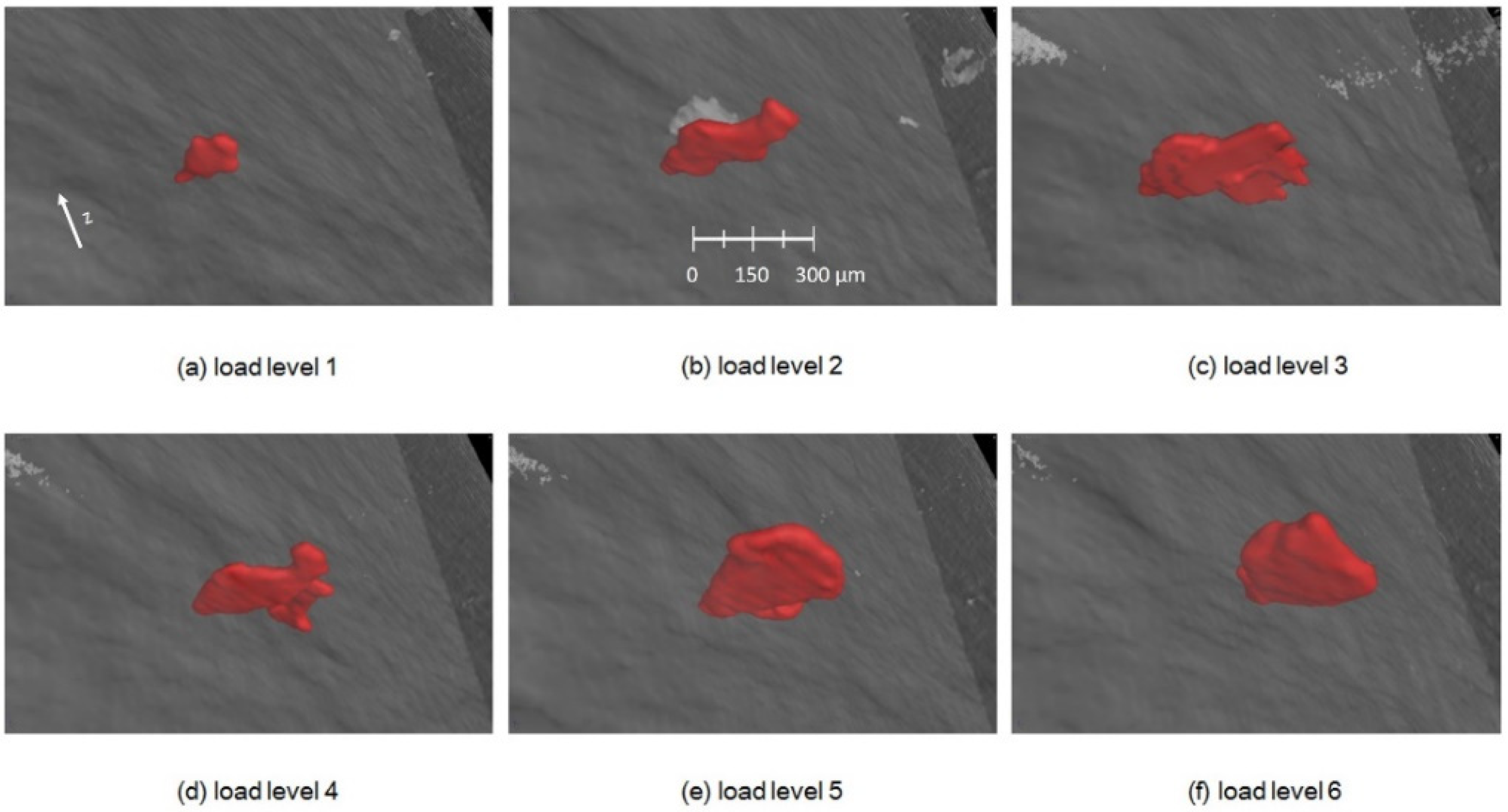 Applsci 11 09875 g014