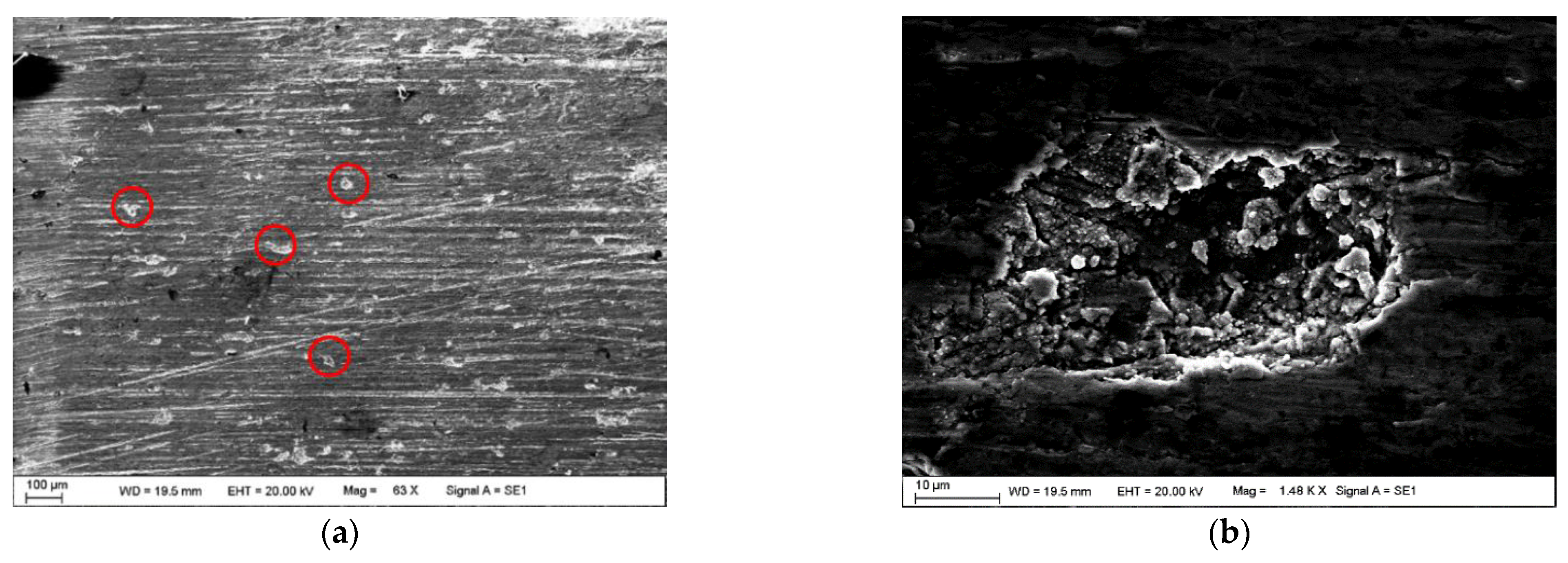 Applsci 11 09913 g008