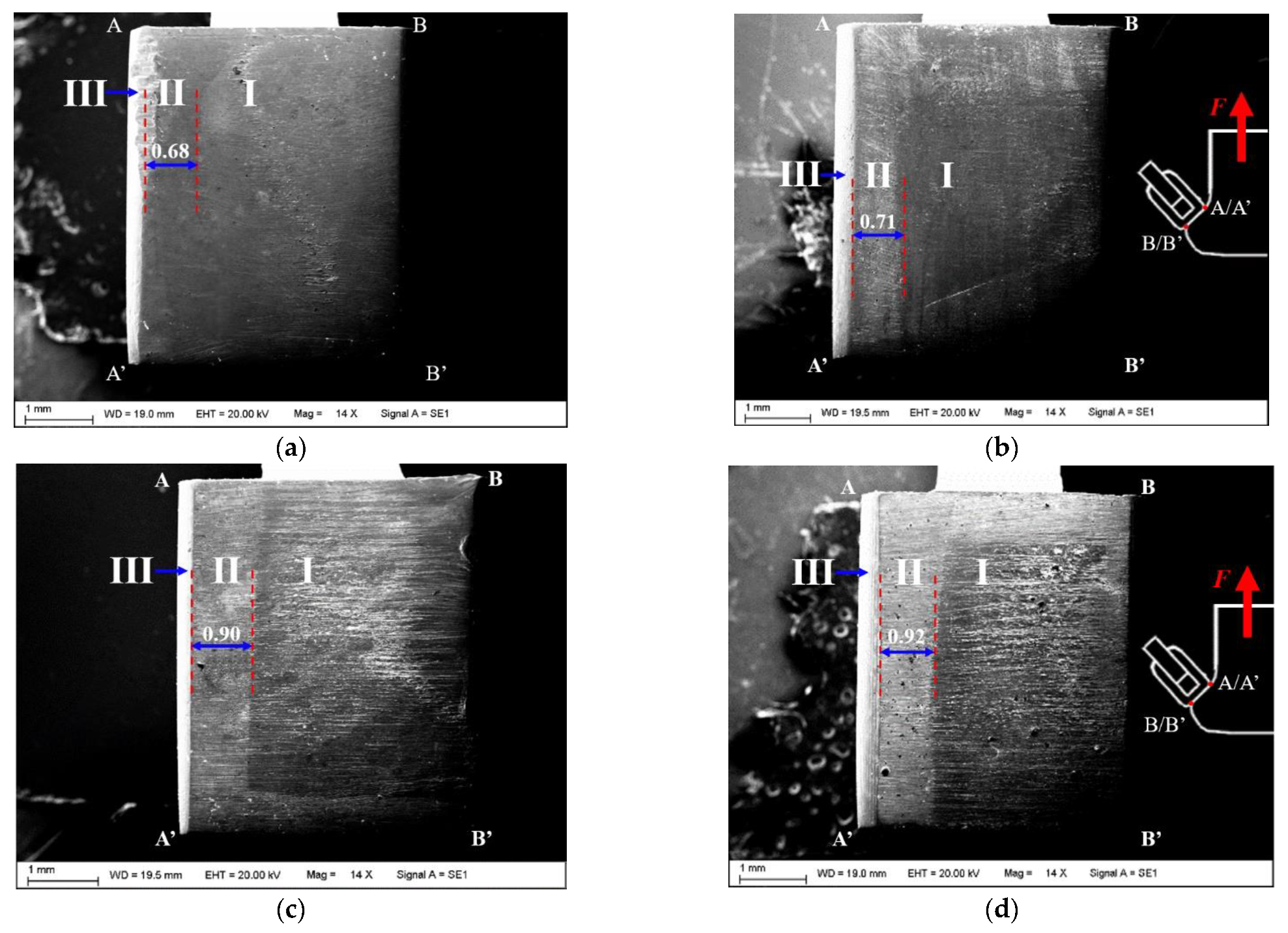 Applsci 11 09913 g009