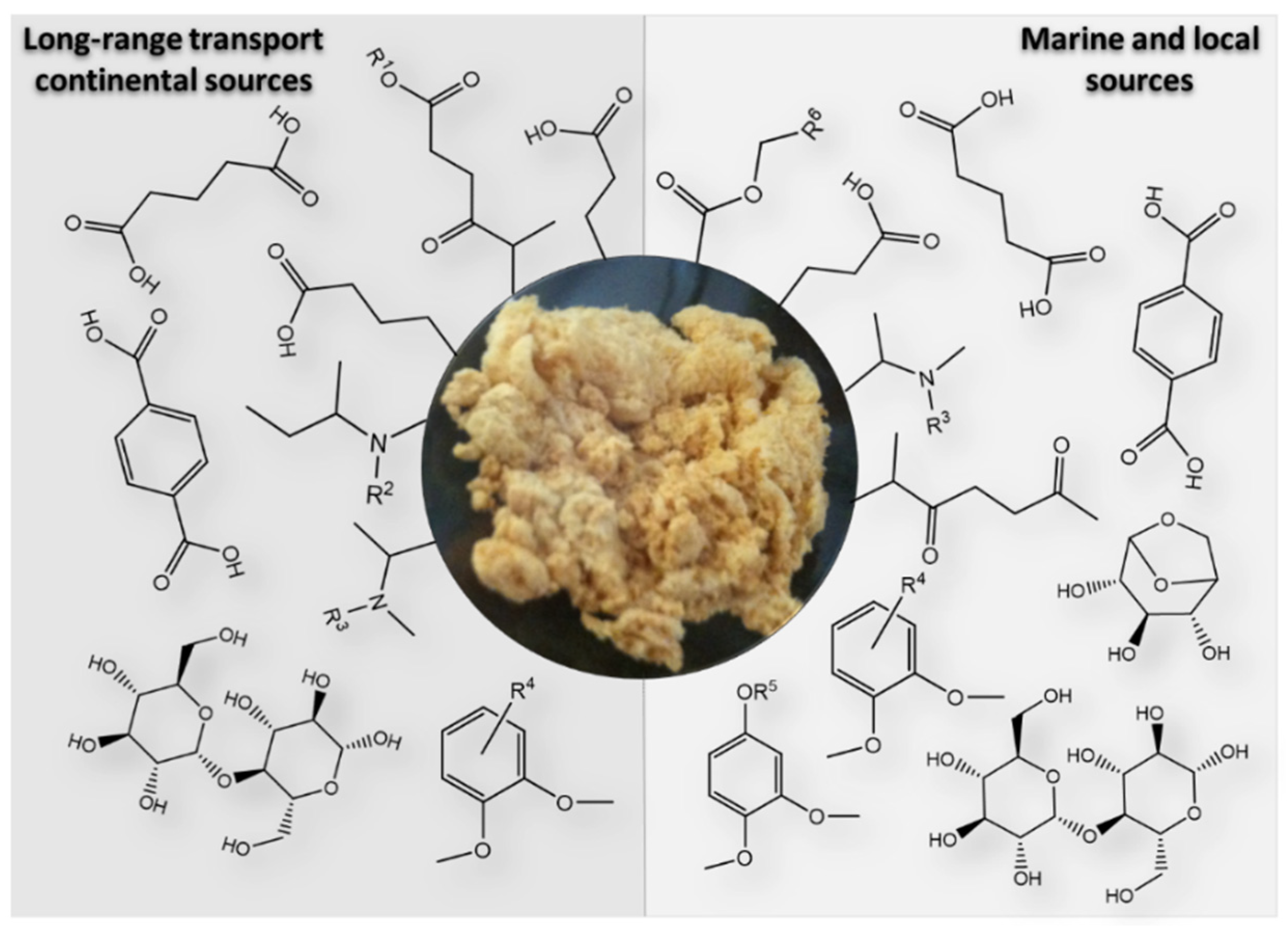 Applsci 11 09917 g002