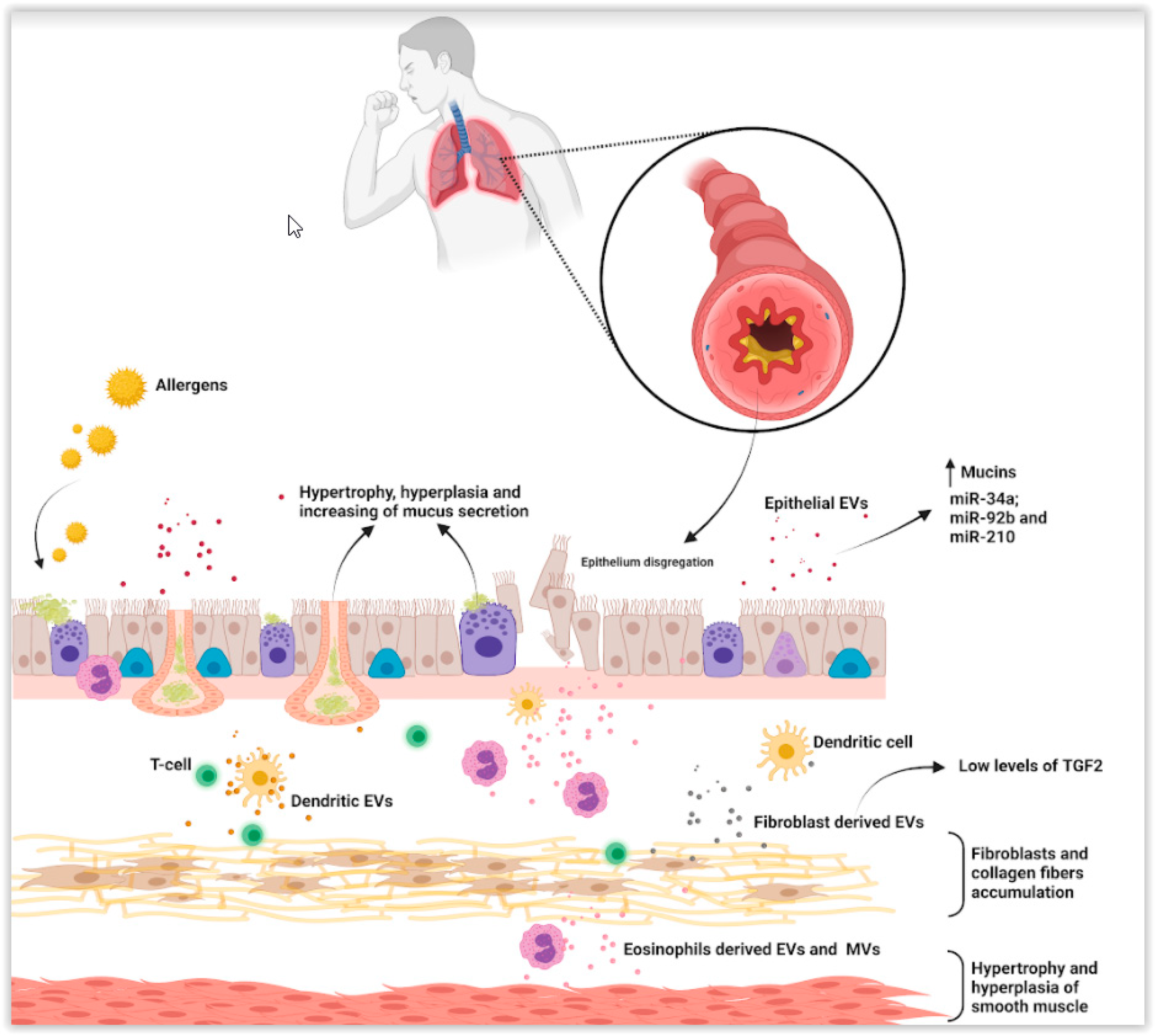 Applsci 11 09933 g001 550
