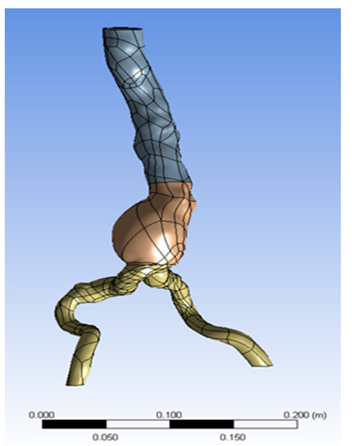 Applsci 11 09941 g001 Applsci 11 09941 g001