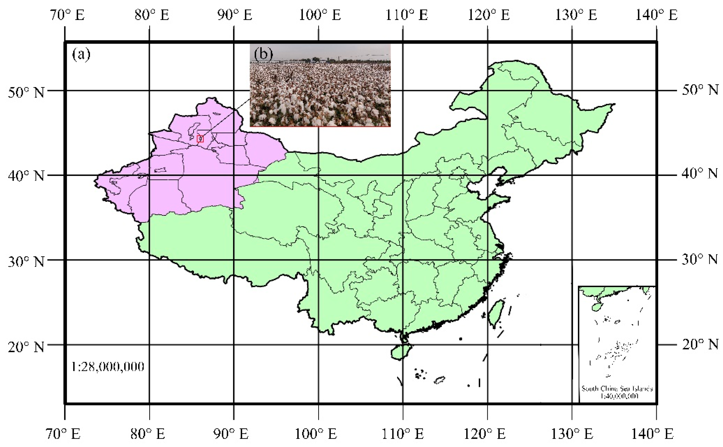 Applsci 11 09959 g001 Applsci 11 09959 g001