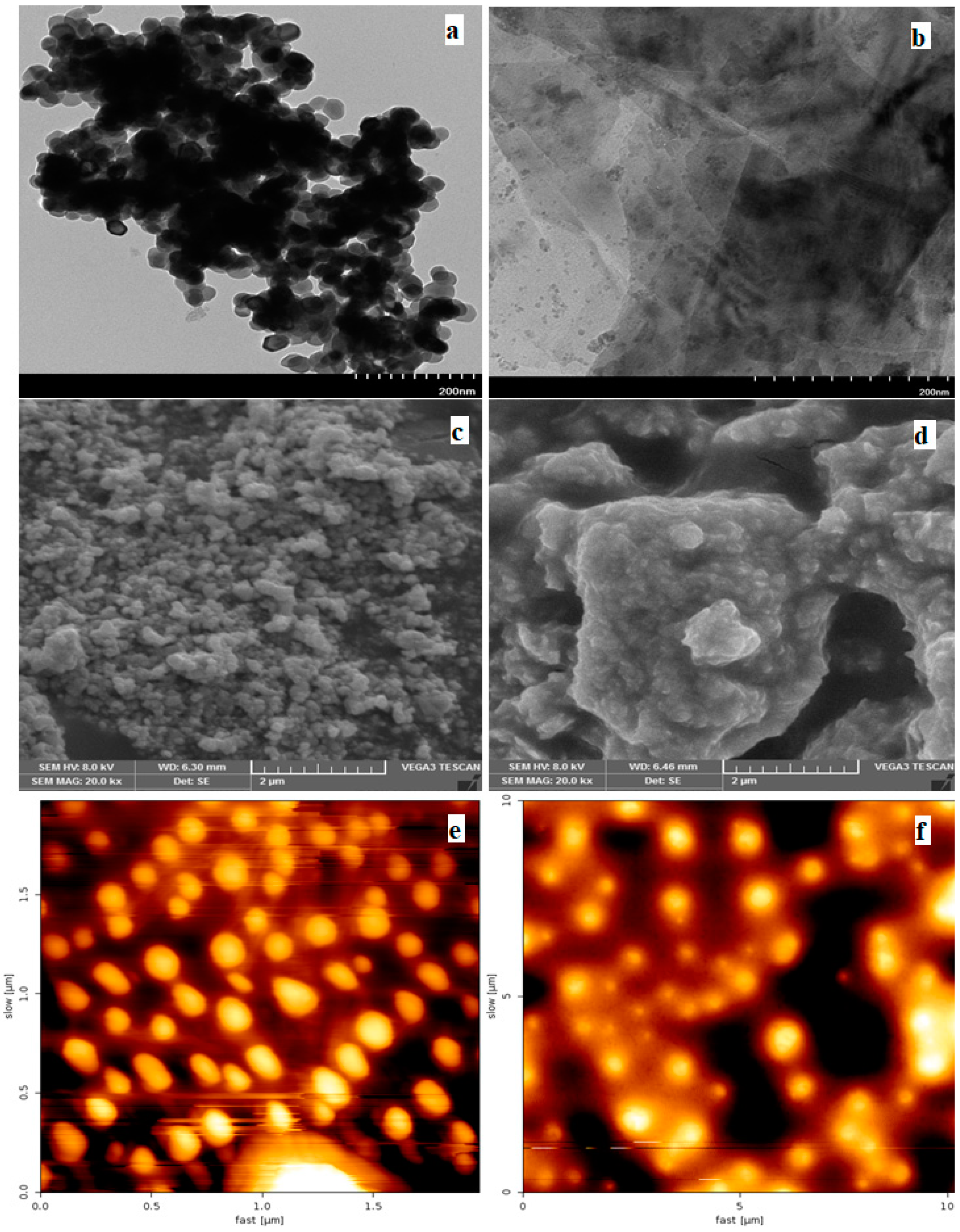 Applsci 11 09974 g001 Applsci 11 09974 g001