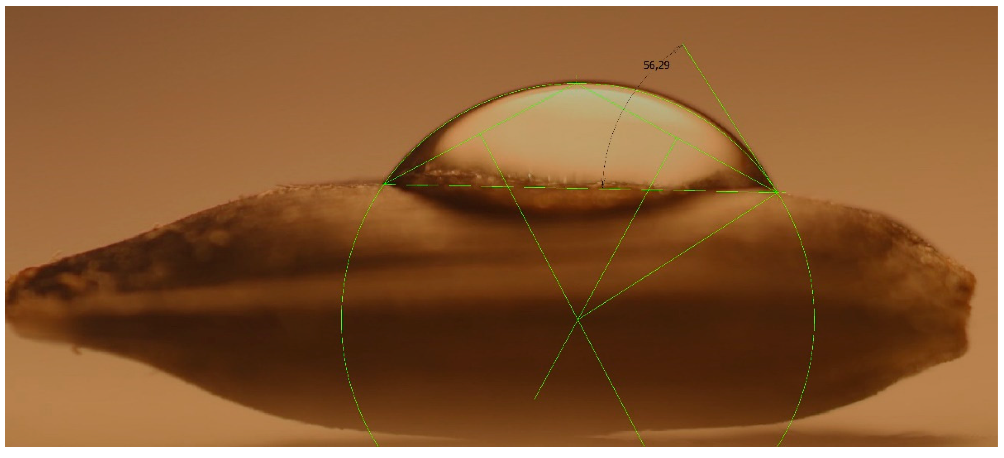 Applsci 11 09994 g001 550