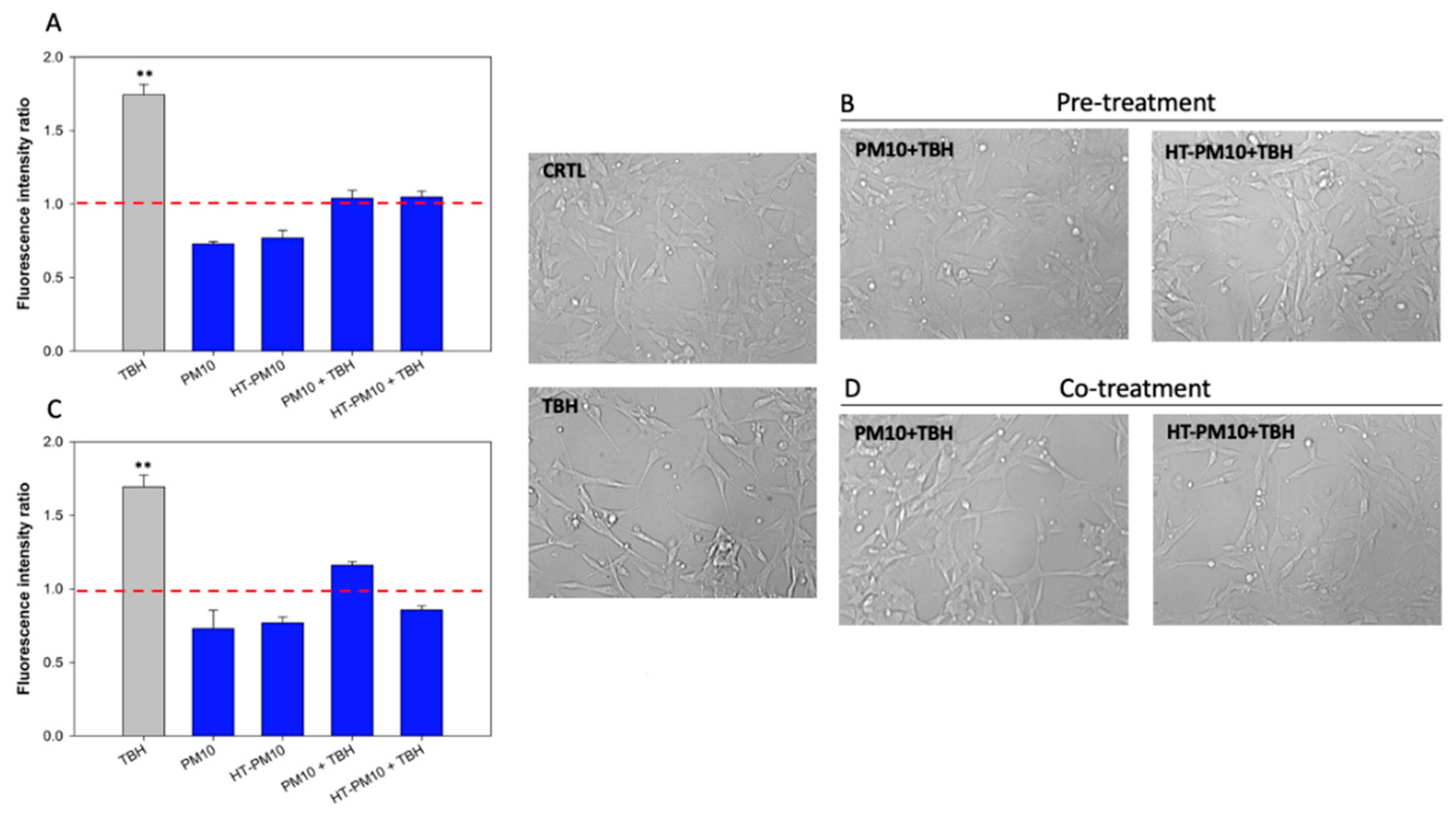 Applsci 11 09995 g003 Applsci 11 09995 g003