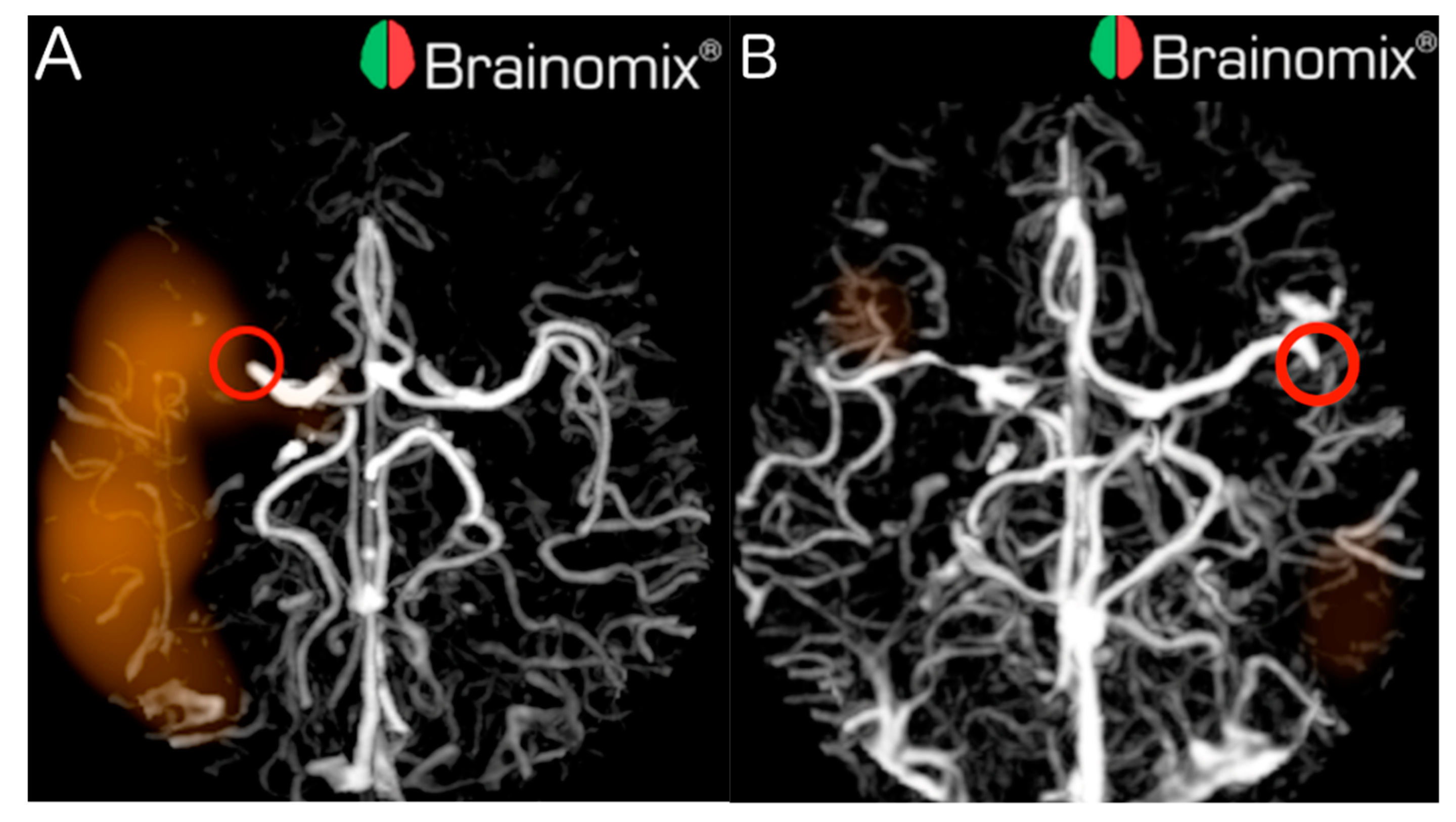 Applsci 11 10017 g001 550