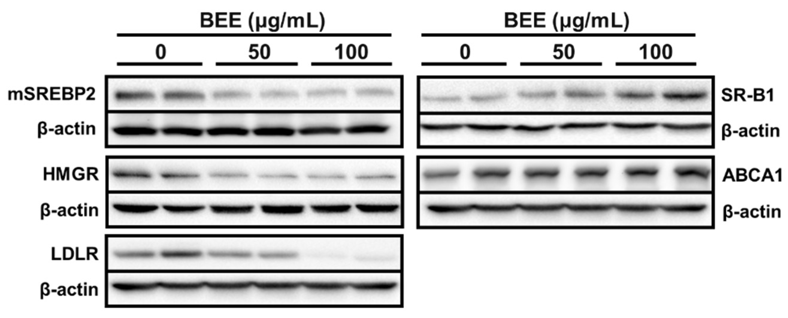 Applsci 11 10018 g002 Applsci 11 10018 g002